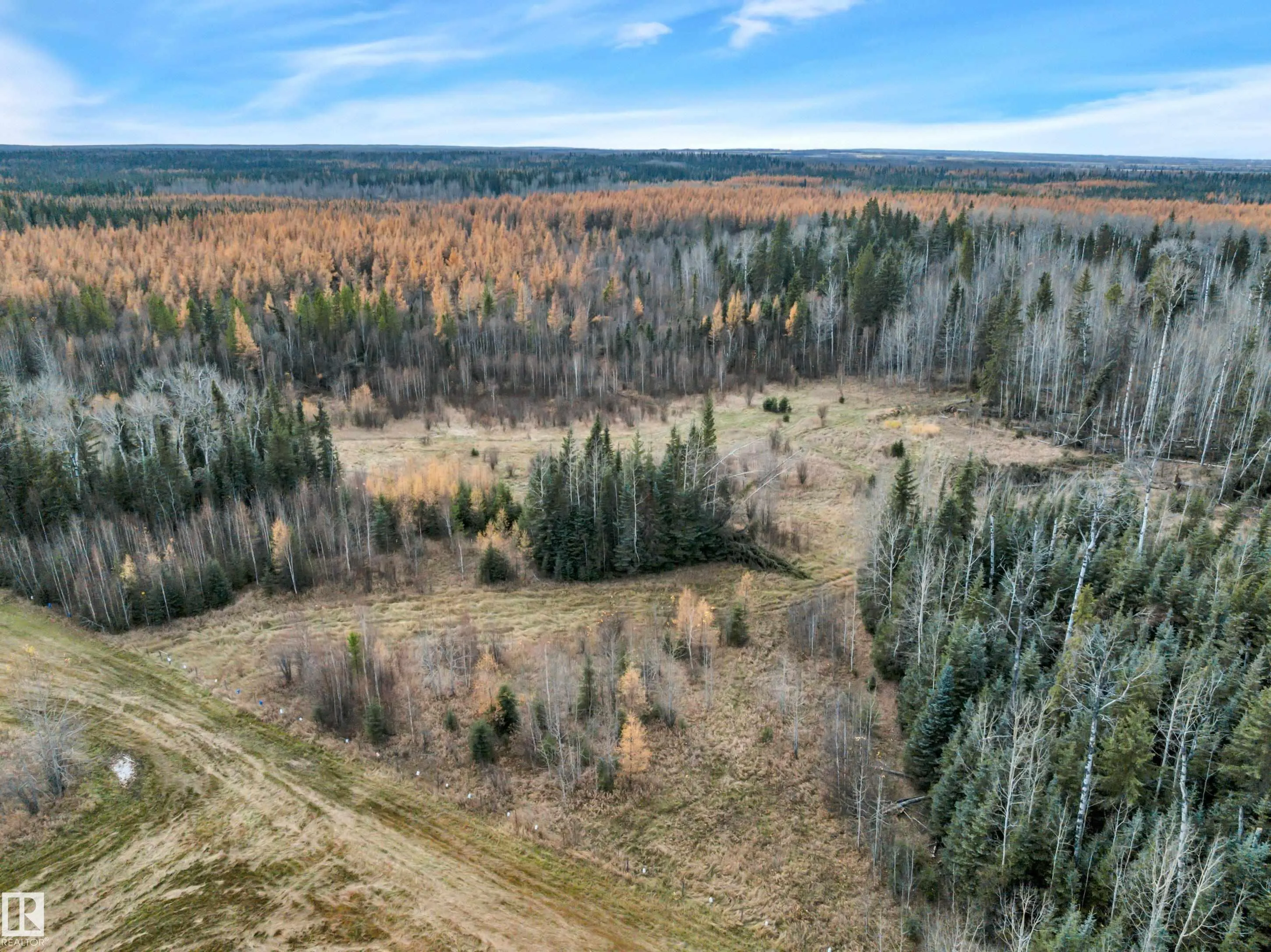 12006 Twp Rd 533a