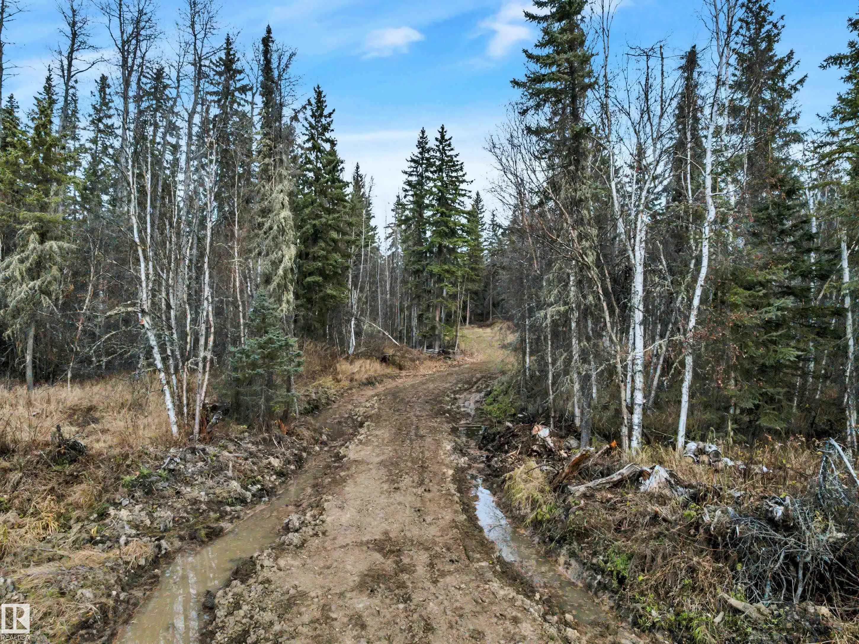 12006 Twp Rd 533a