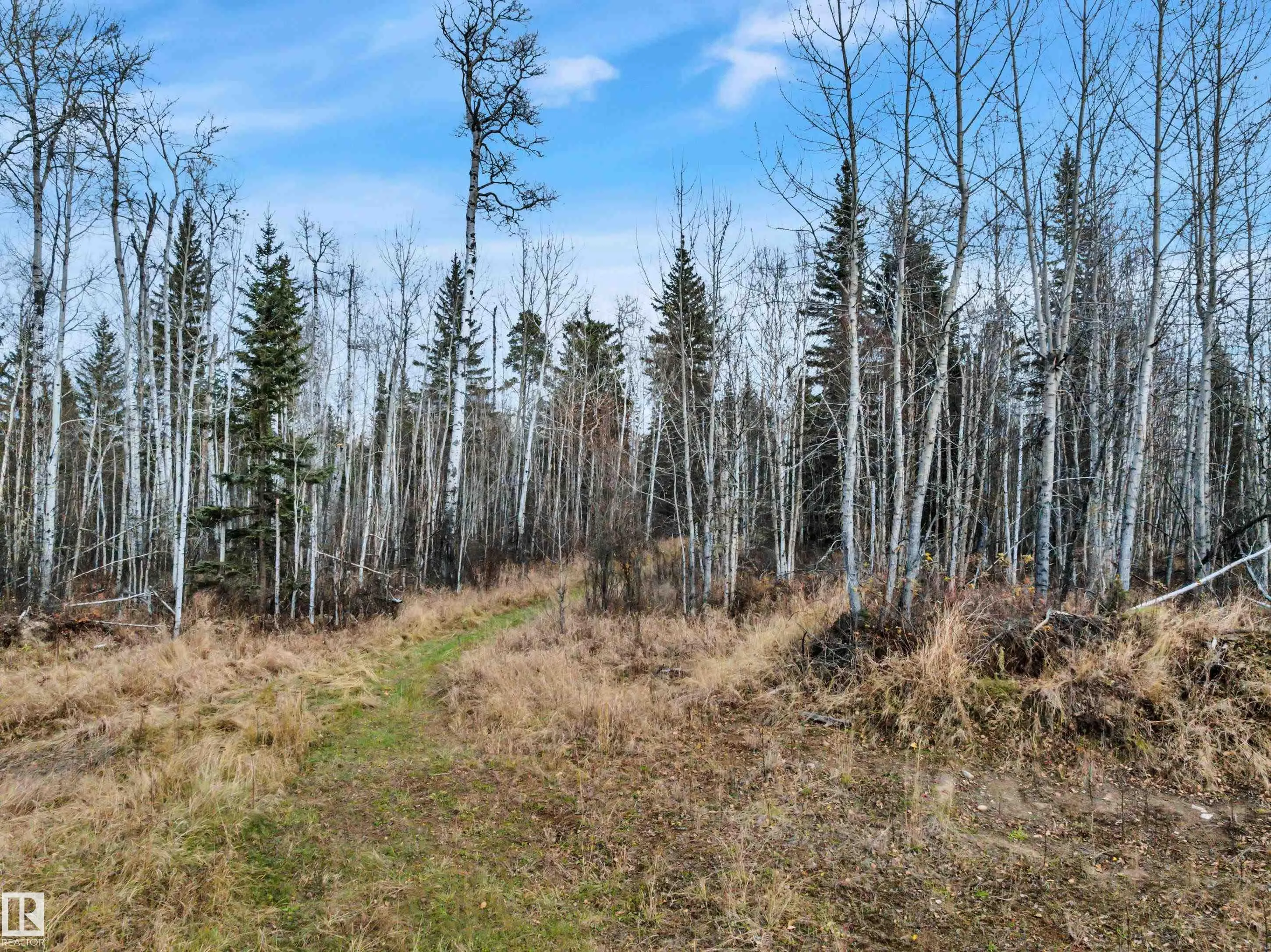12006 Twp Rd 533a