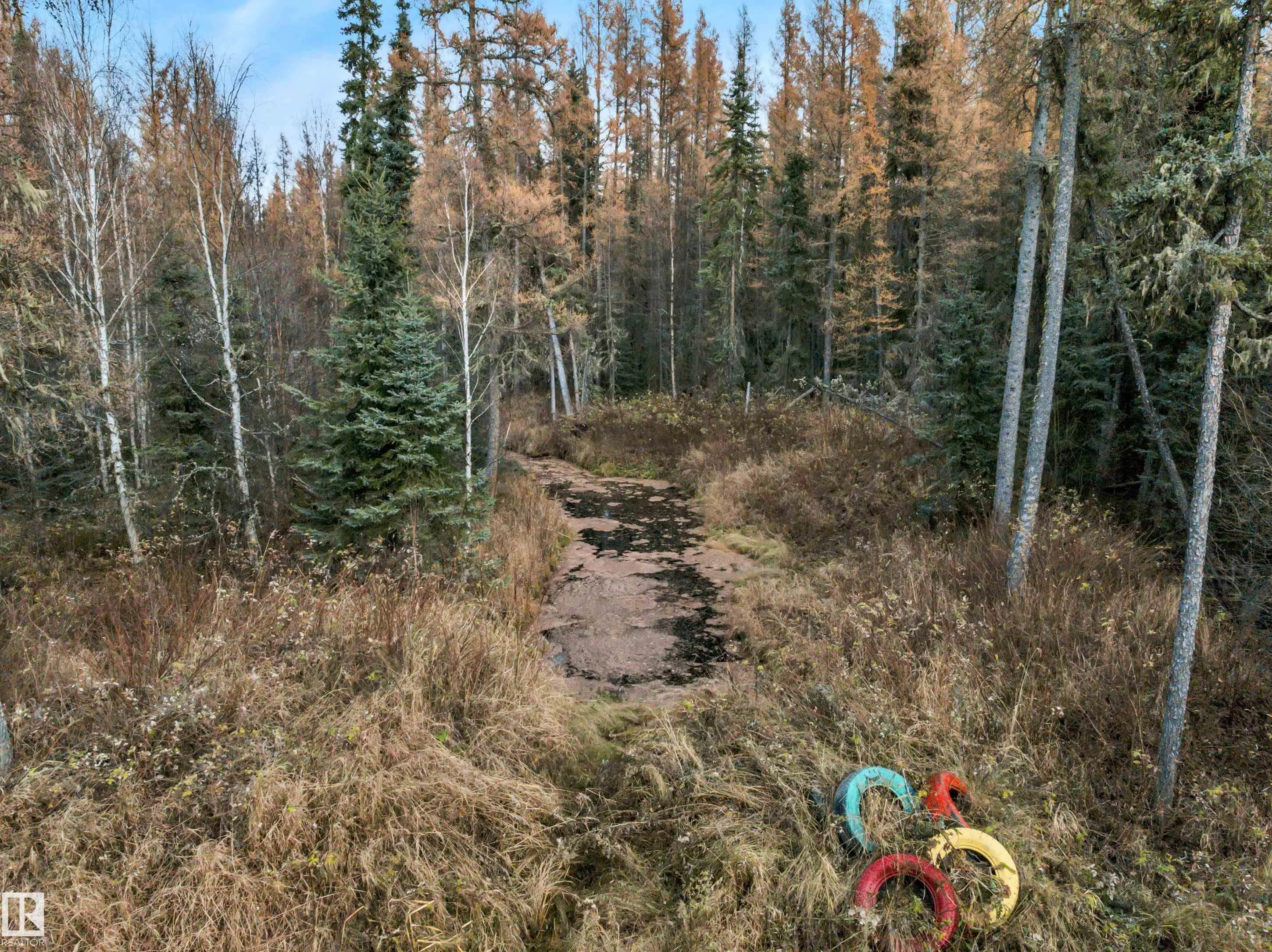 12006 Twp Rd 533a