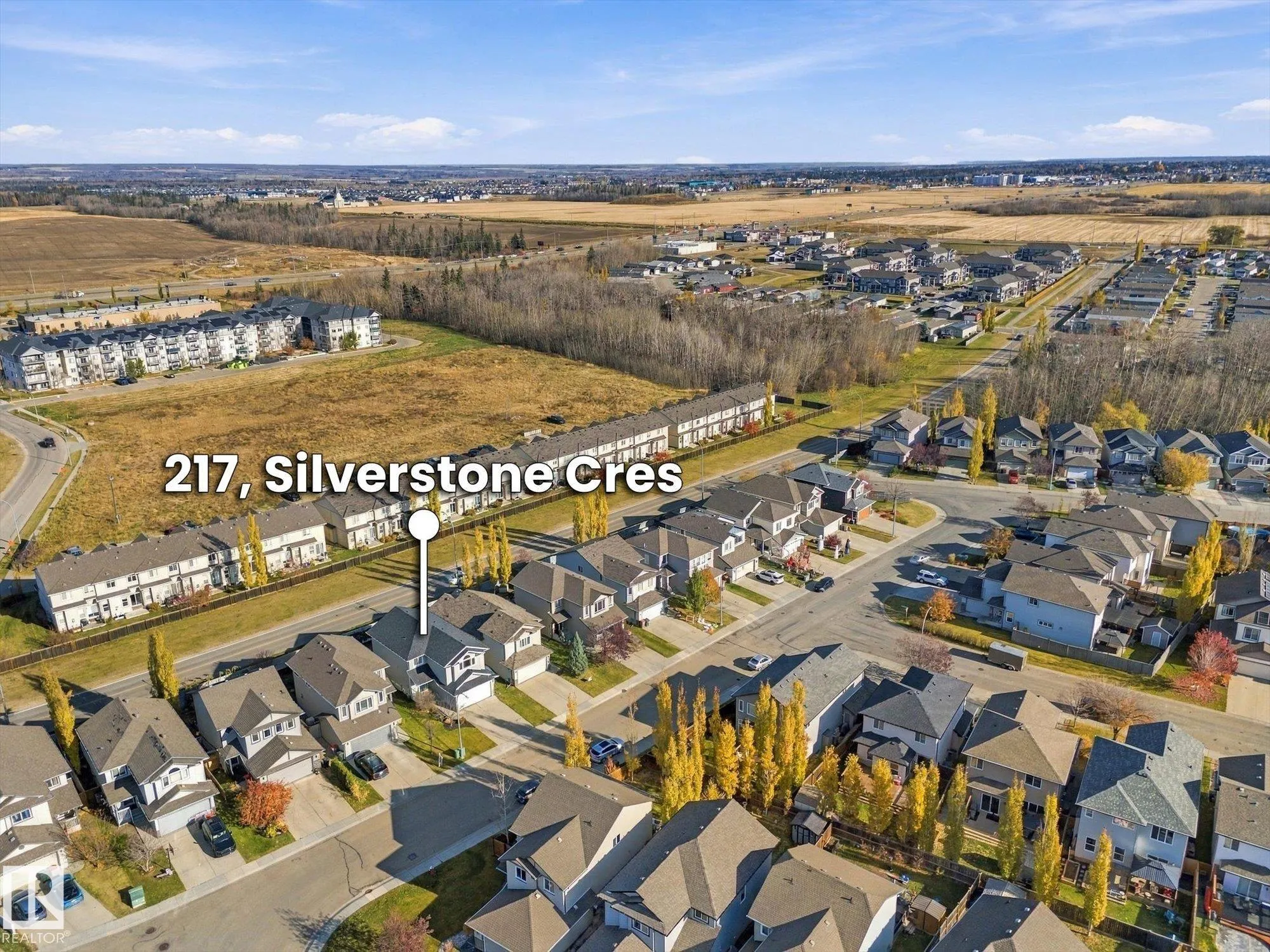 217 SILVERSTONE Crescent