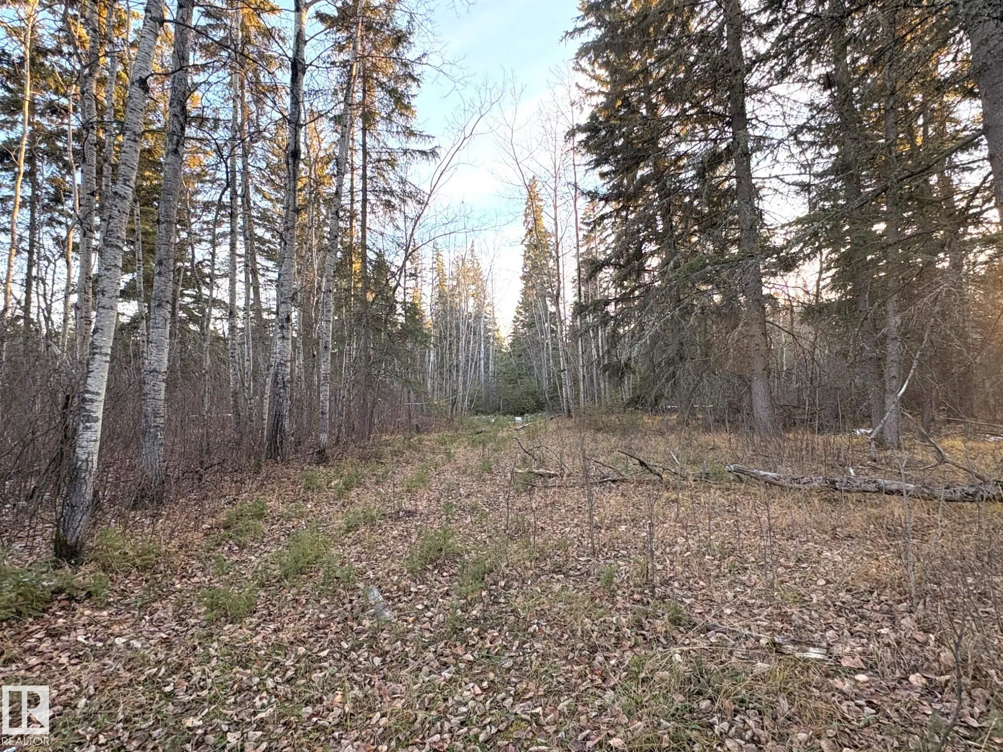61232 Rge Rd 470