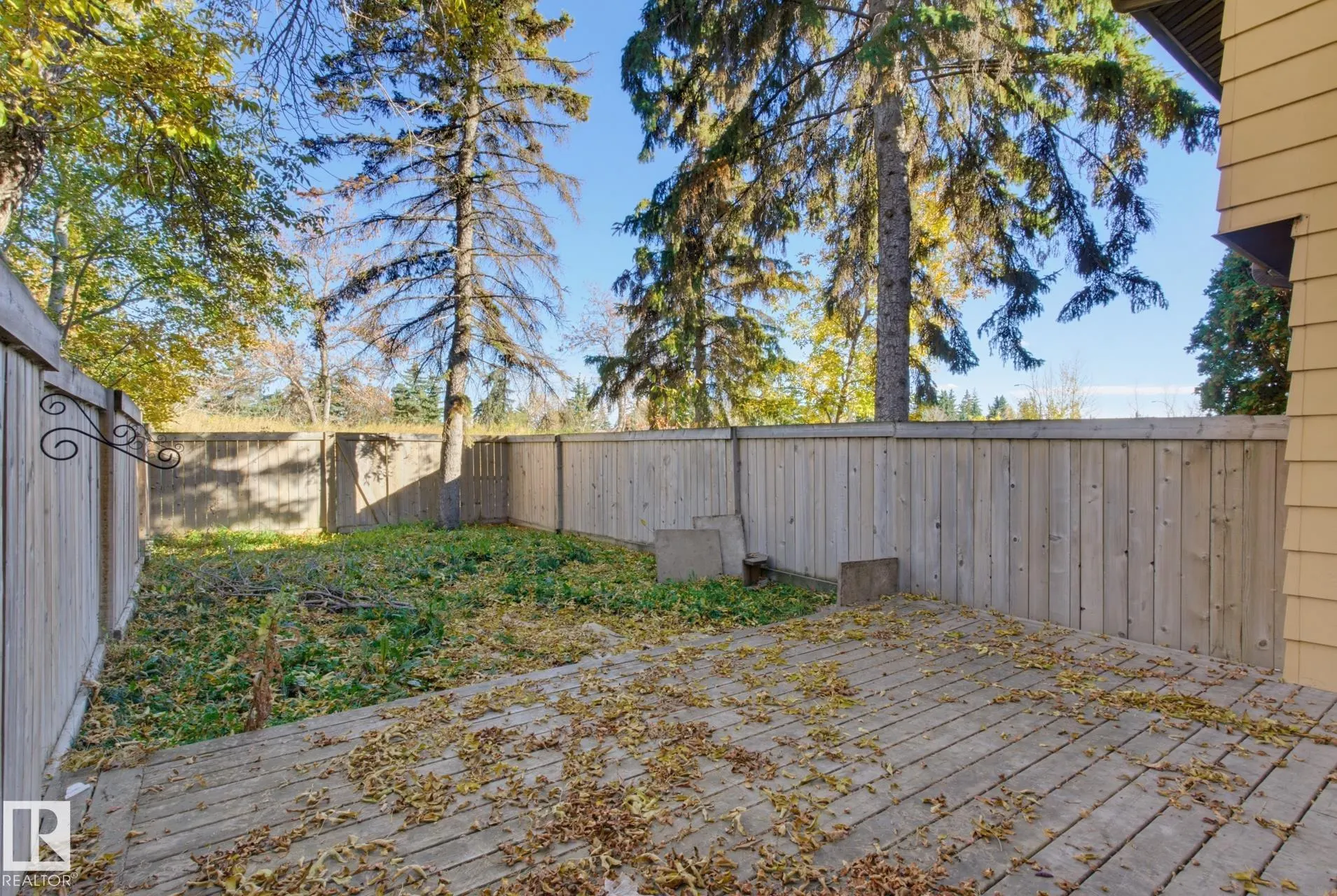 133 WOODSTOCK