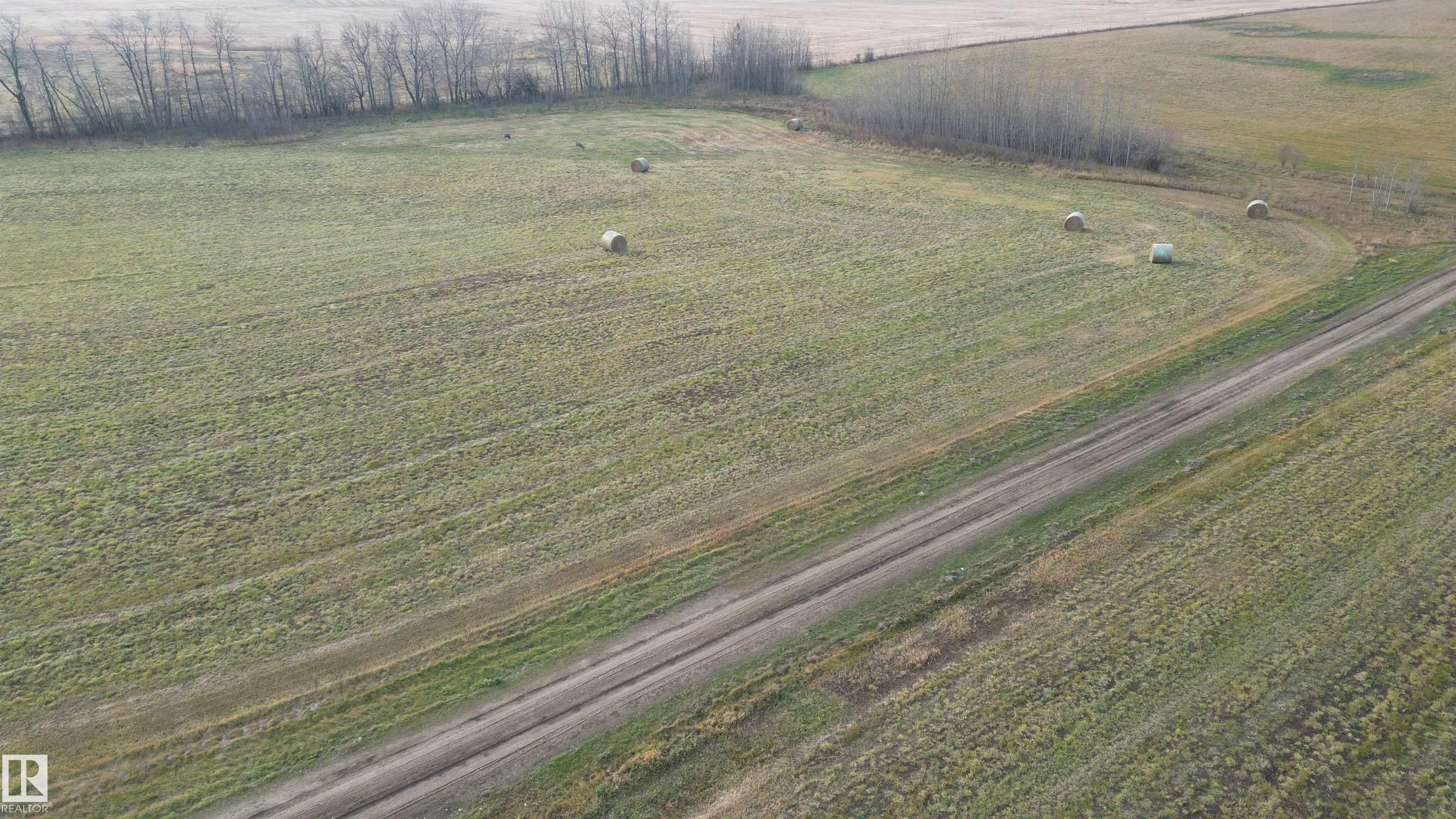 59425 Rge Rd 31