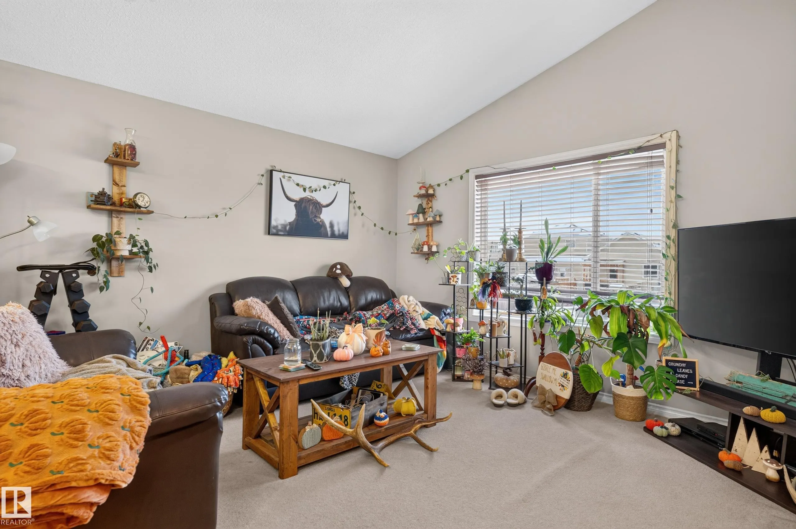 248 AVENA Circle