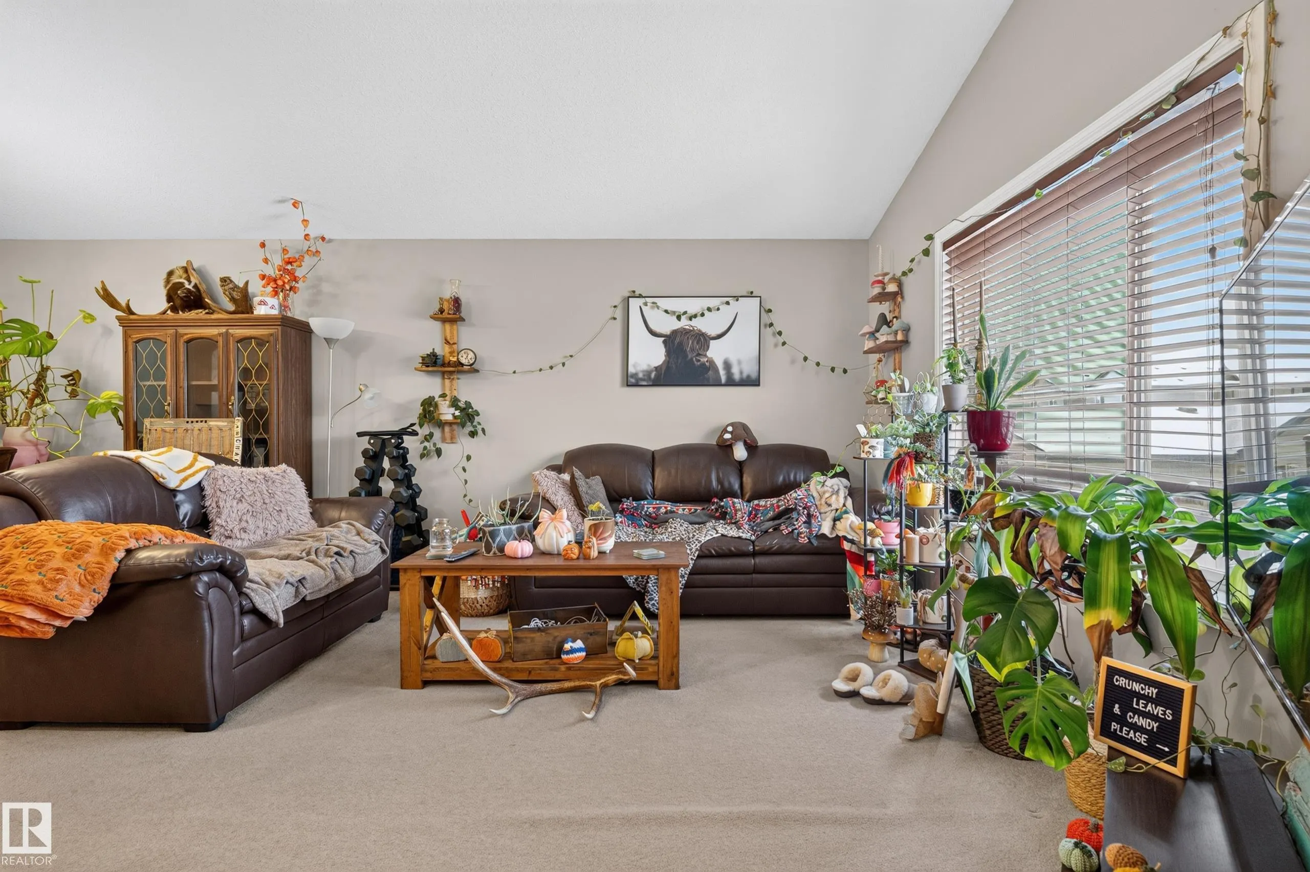 248 AVENA Circle