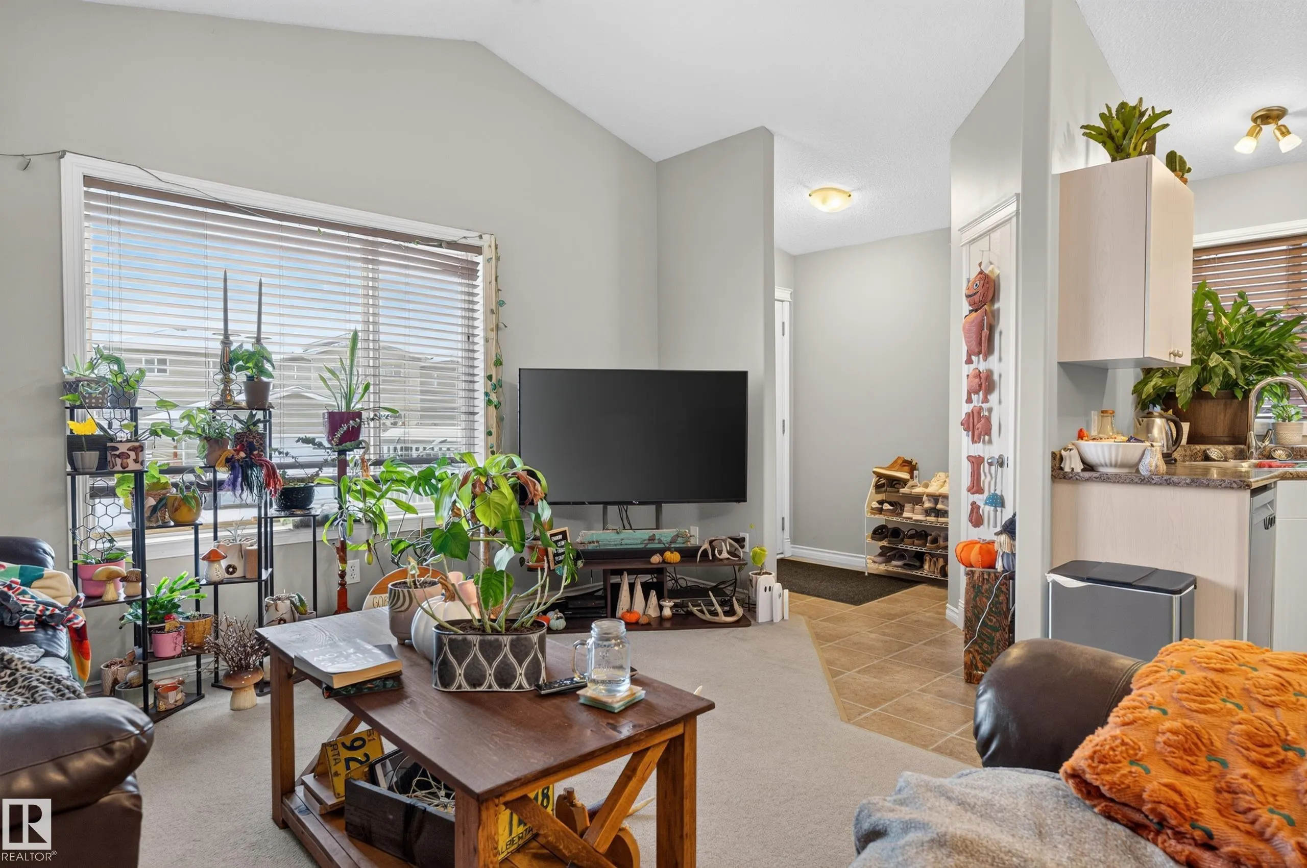 248 AVENA Circle