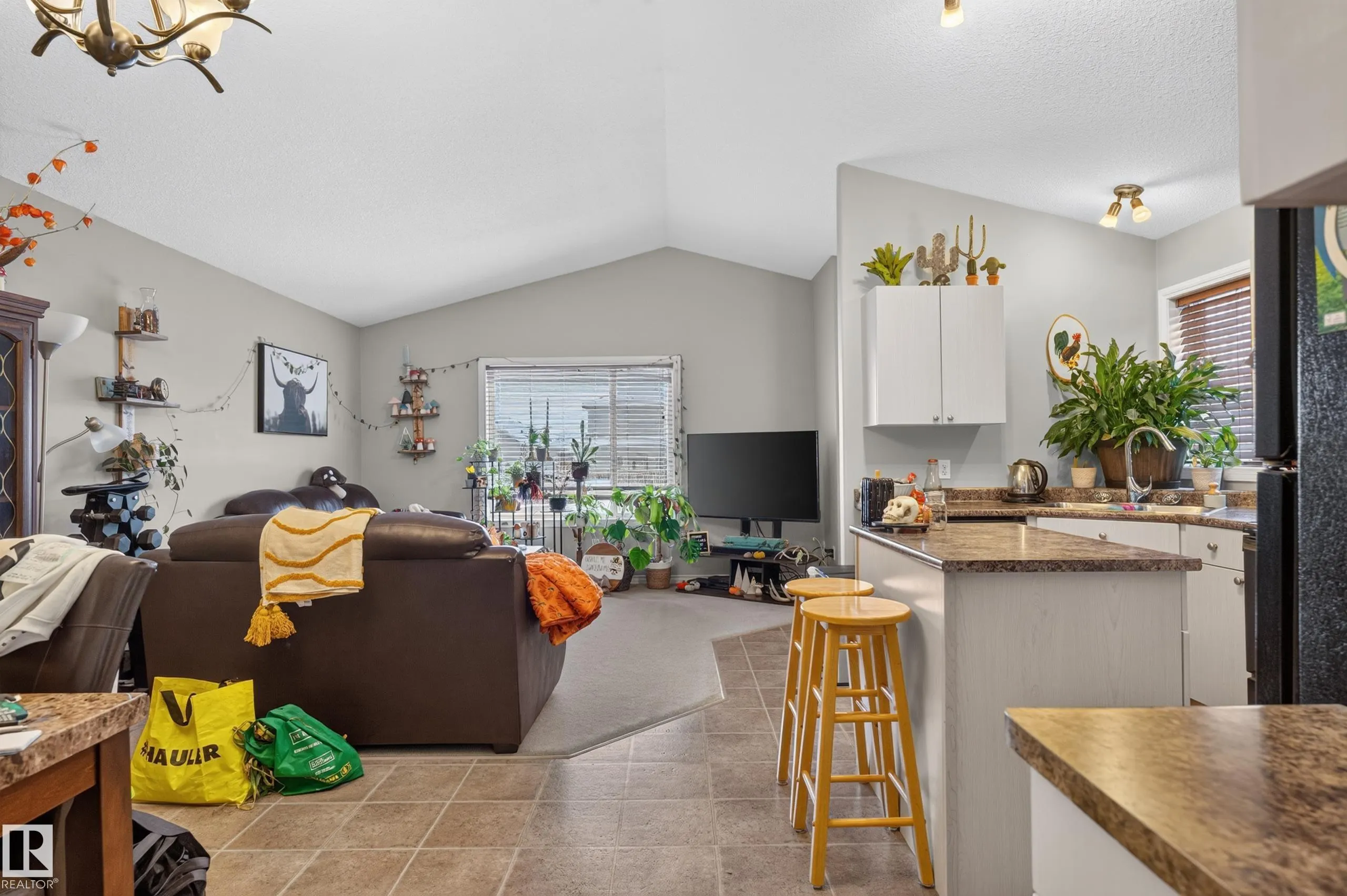 248 AVENA Circle
