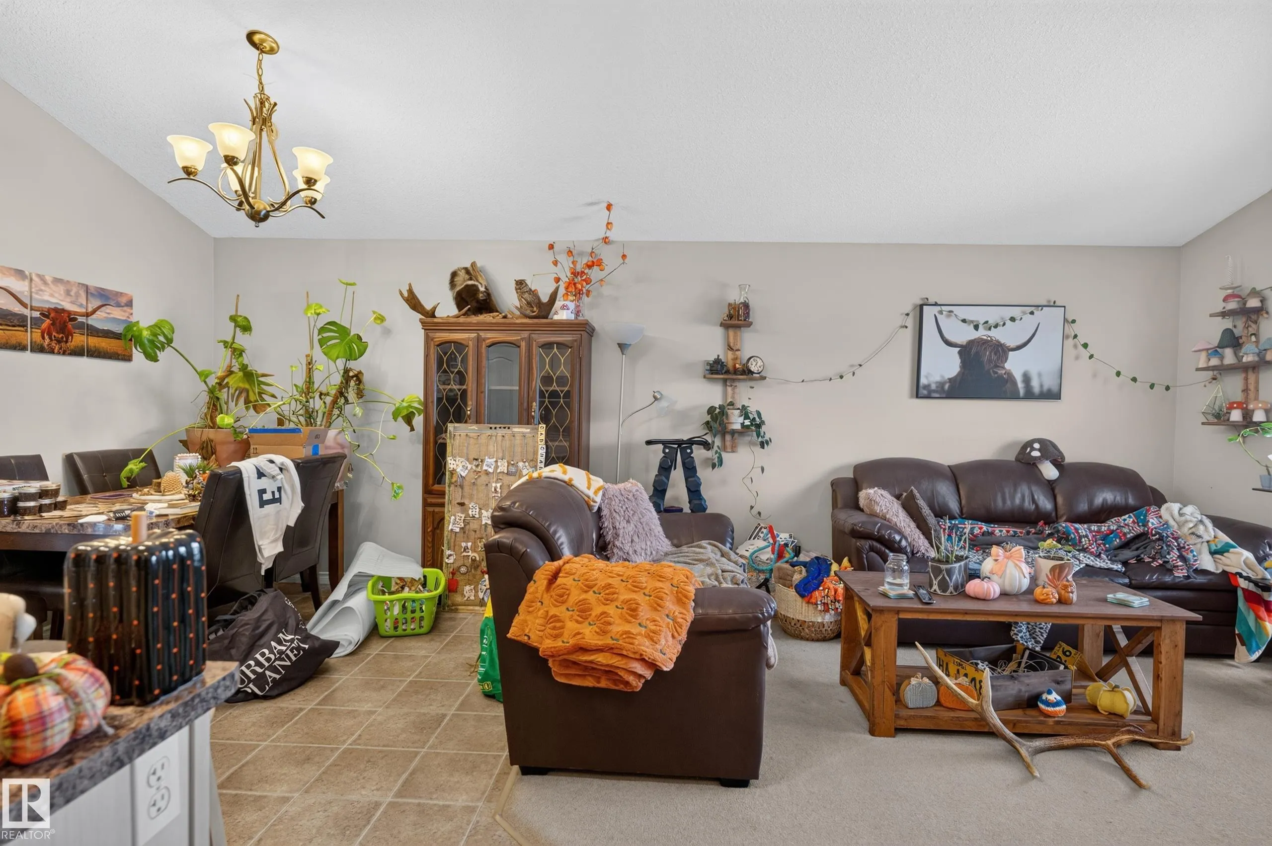248 AVENA Circle
