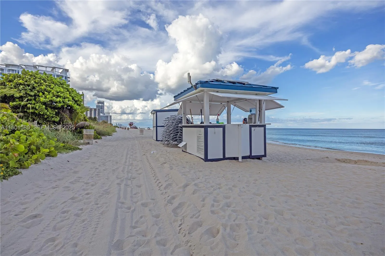 6365 Collins Avenue #4106