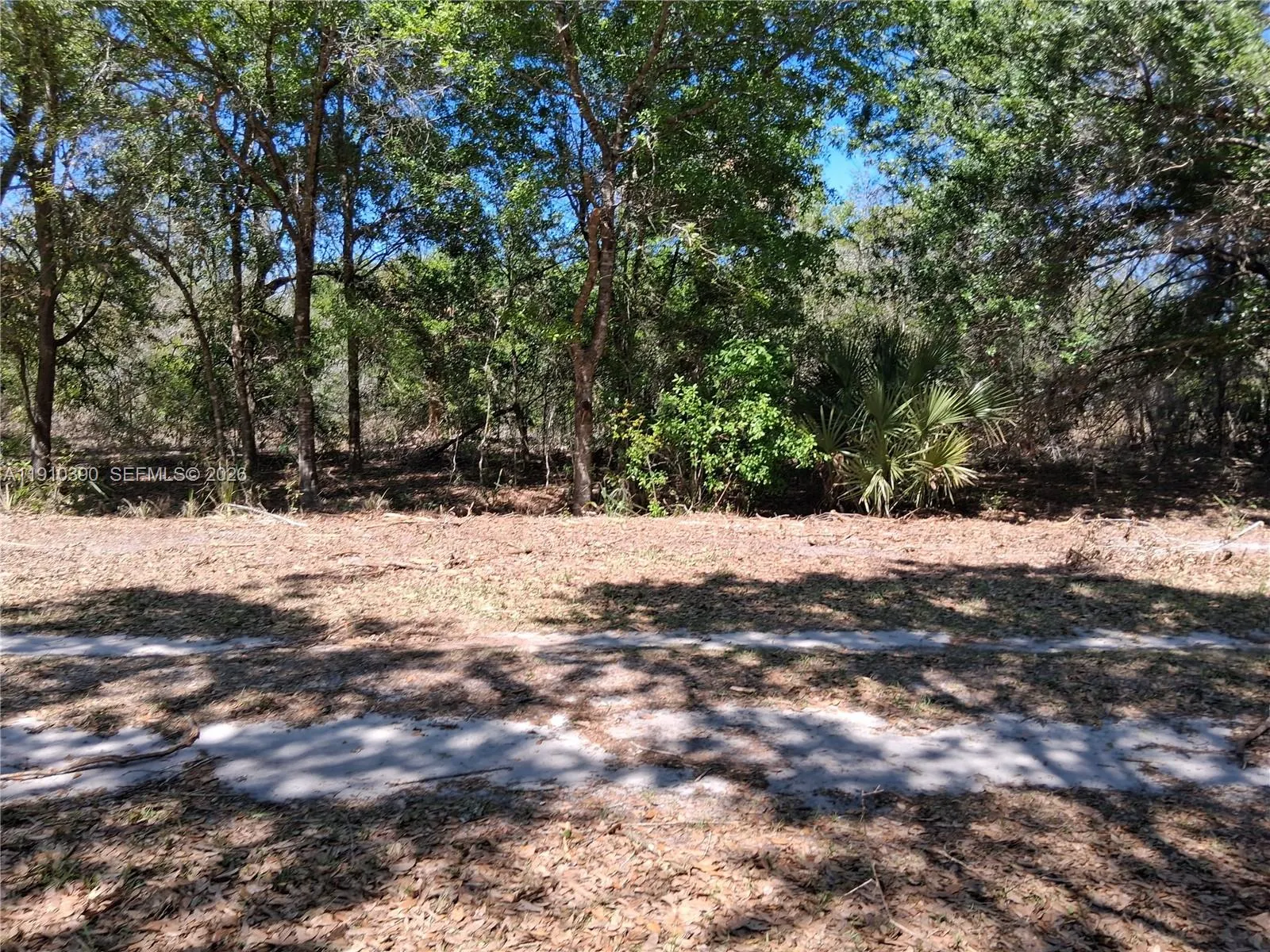 2822 W Yepremian Road