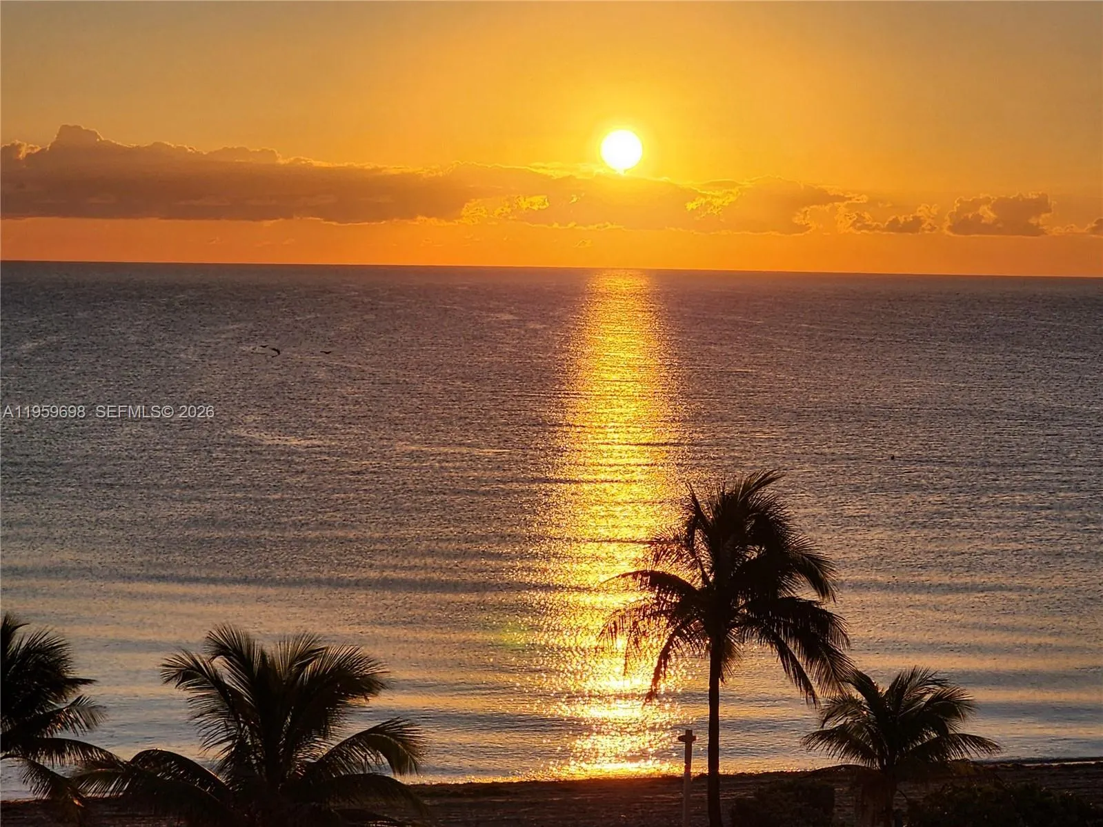2030 S Ocean Drive #823