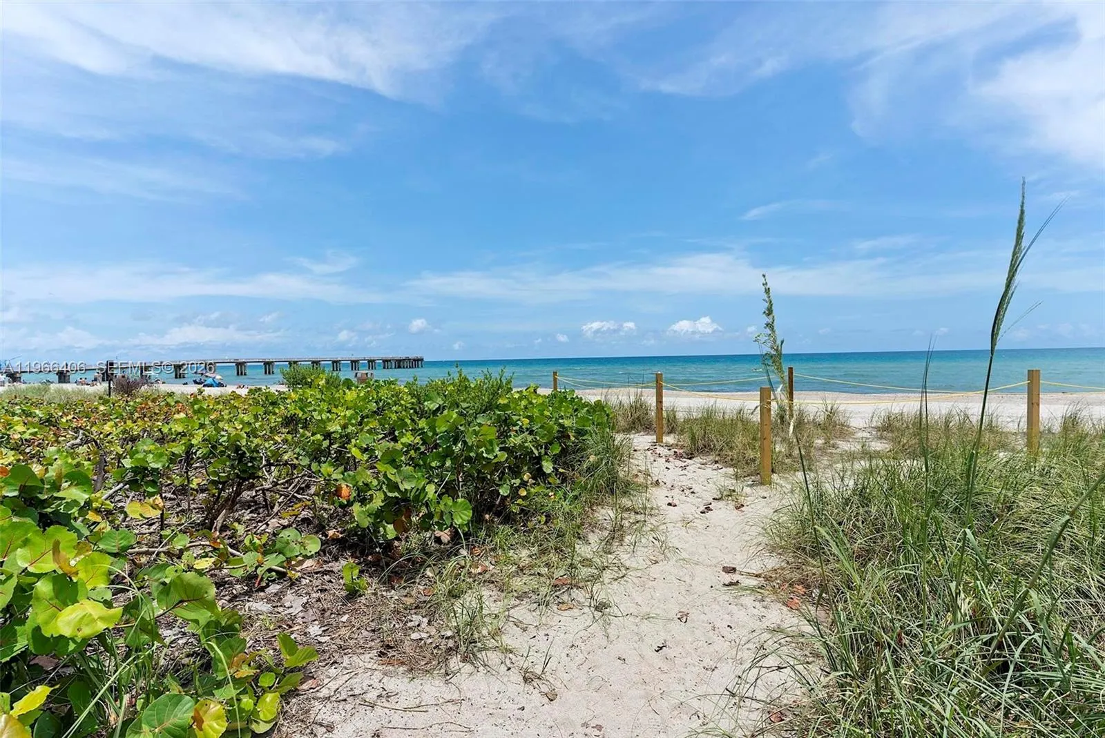 16445 Collins Avenue #2328