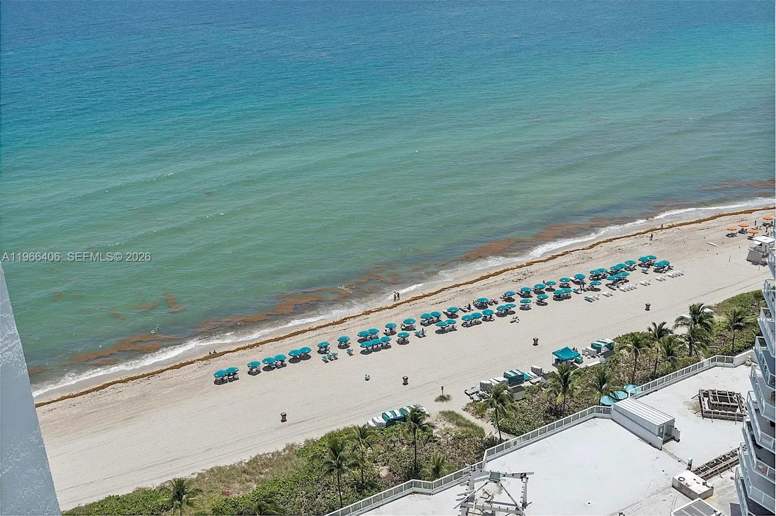 16445 Collins Avenue #2328