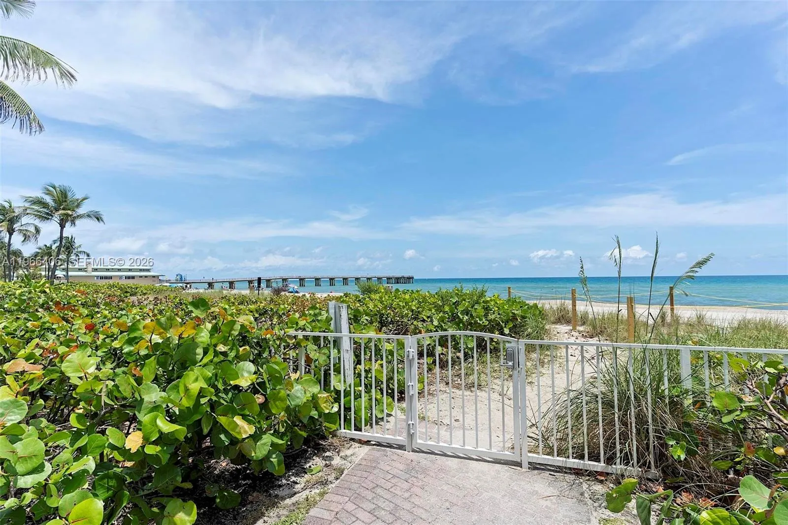 16445 Collins Avenue #2328