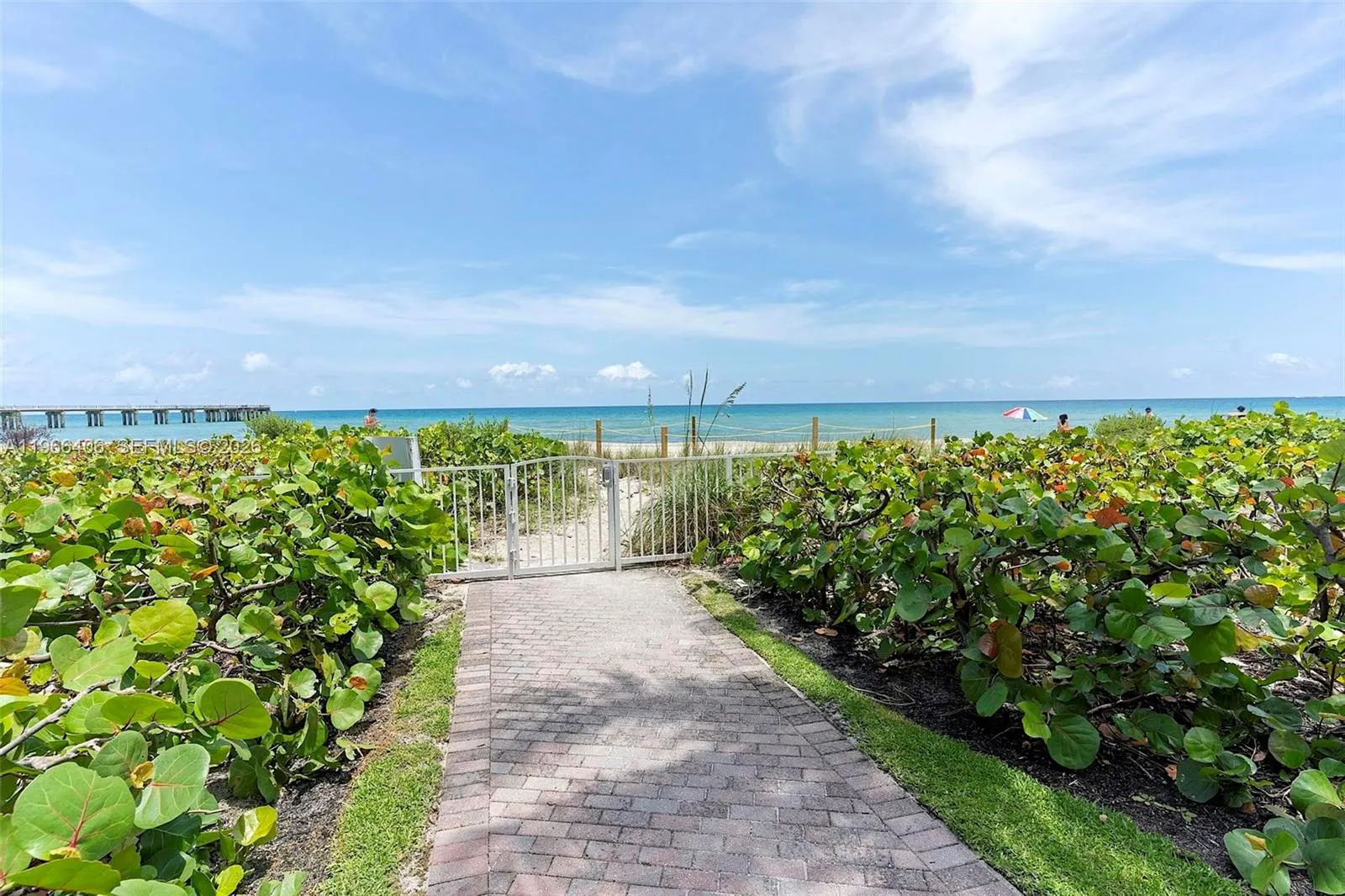16445 Collins Avenue #2328
