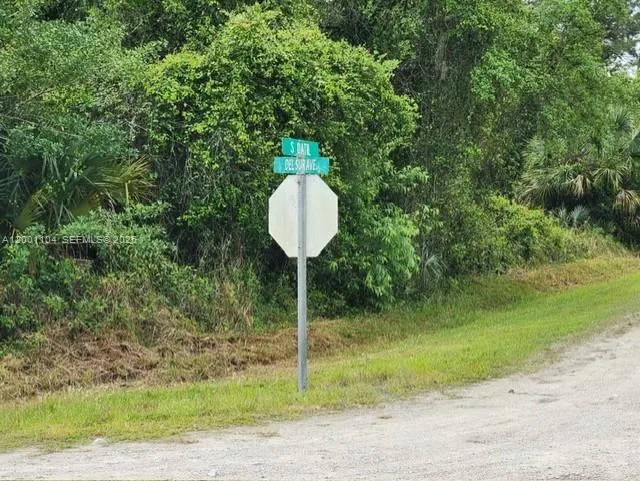 193 Avenida Del Sur