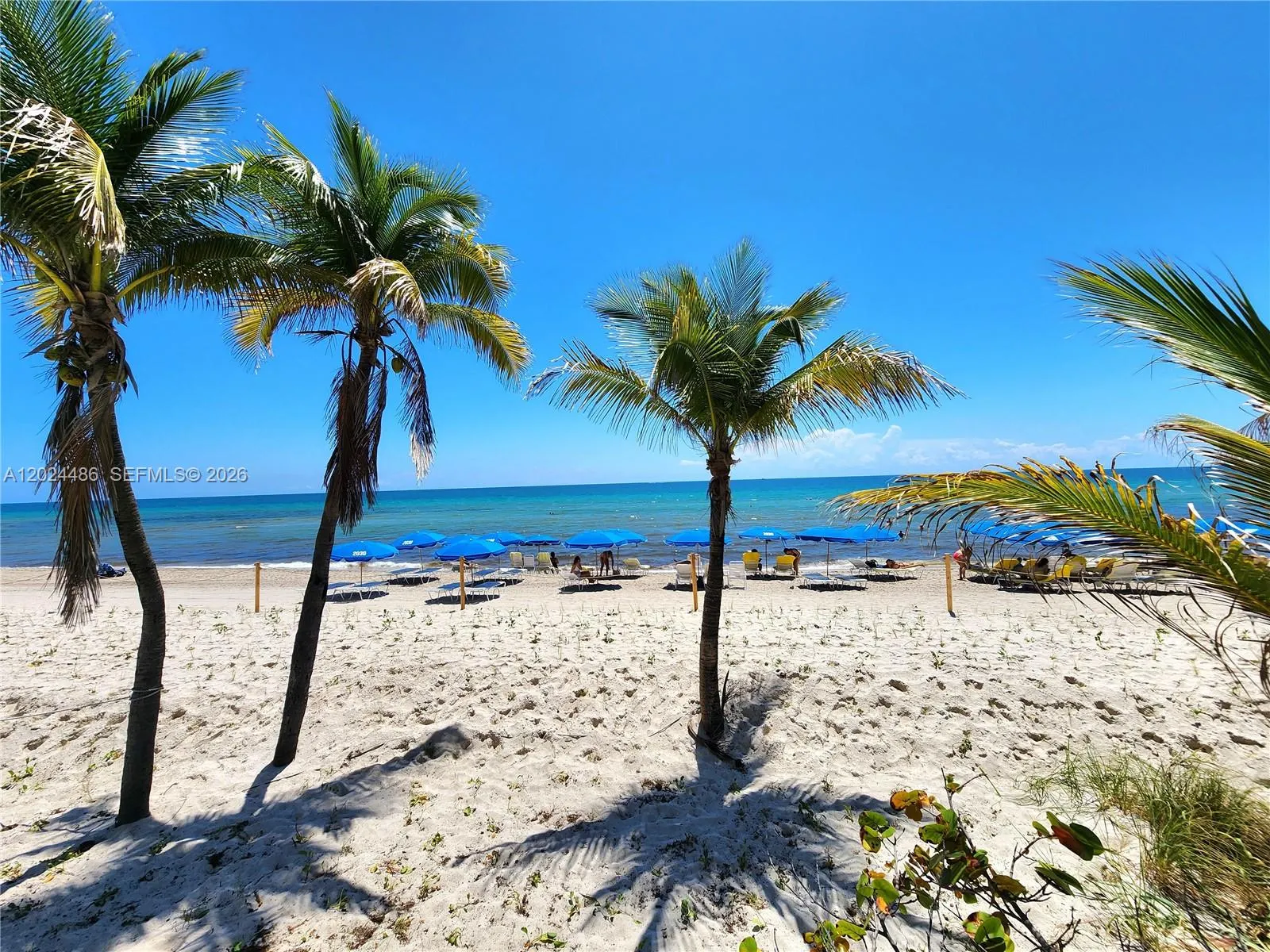 2030 S Ocean Drive #923