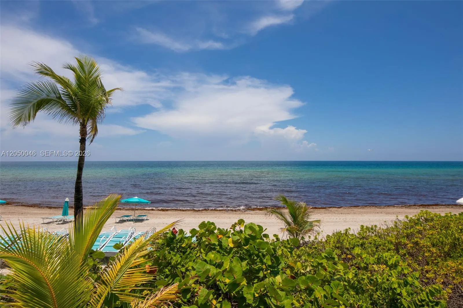 2501 S Ocean Drive #828