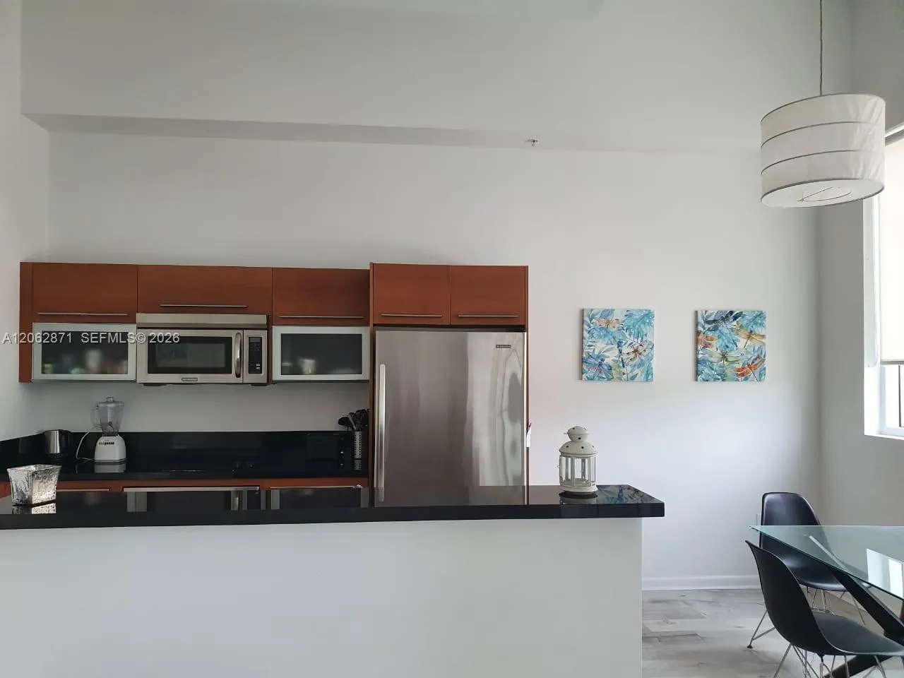 244 Biscayne Boulevard #202