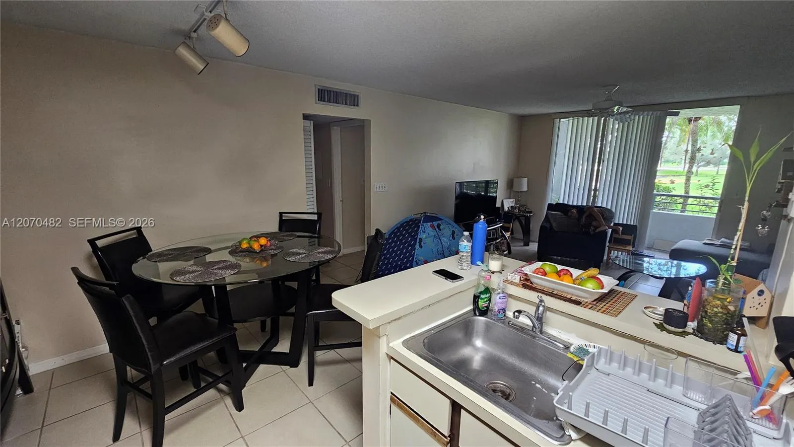 931 Lyons Road #4102