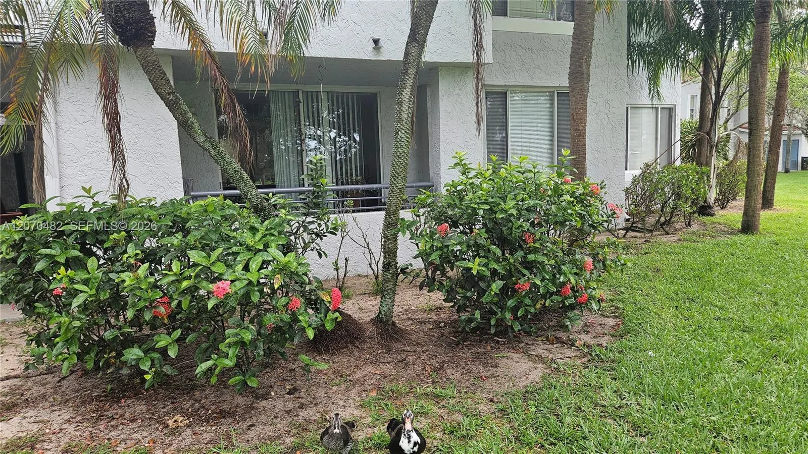931 Lyons Road #4102