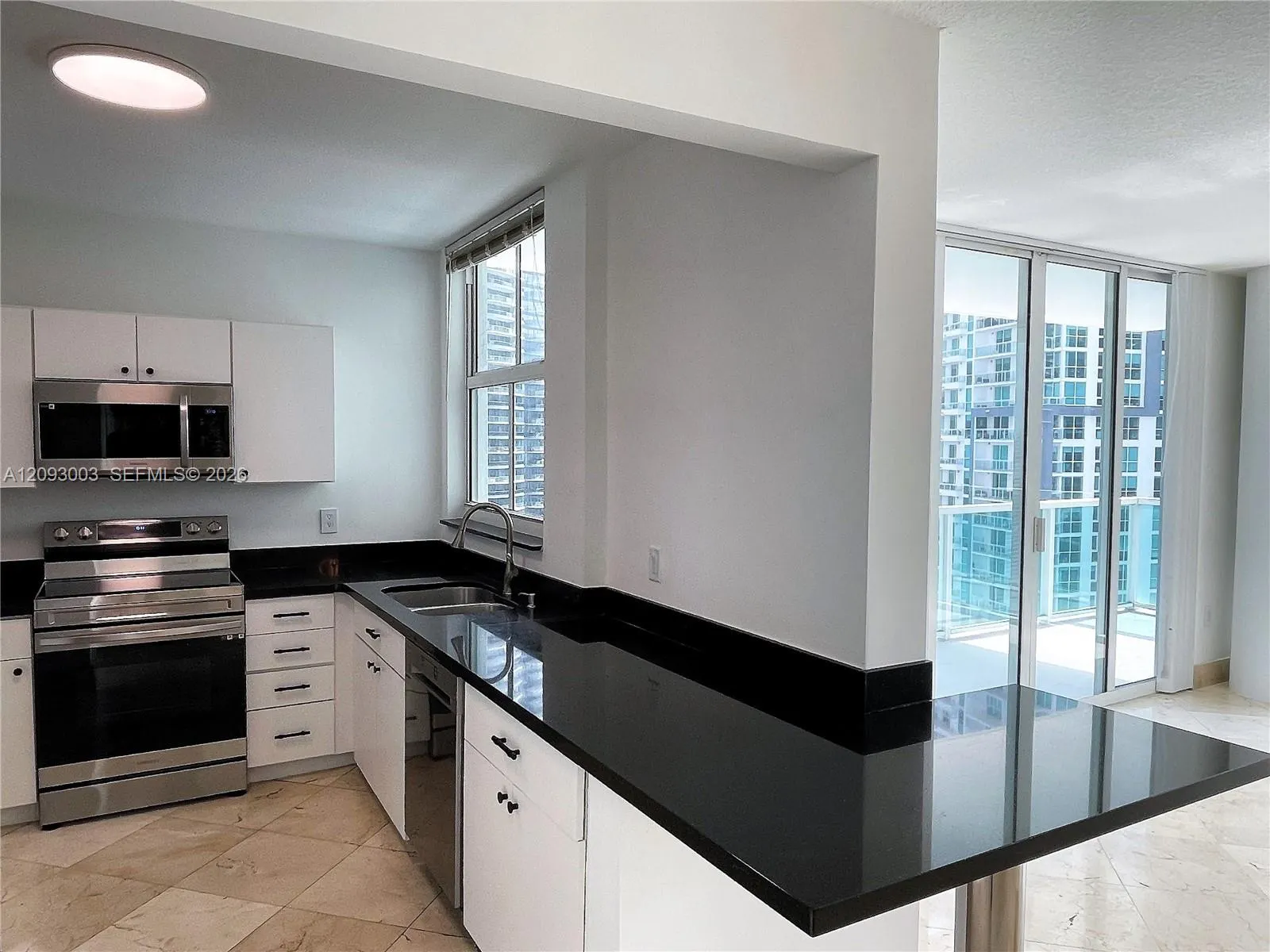 1250 S Miami Avenue #2906