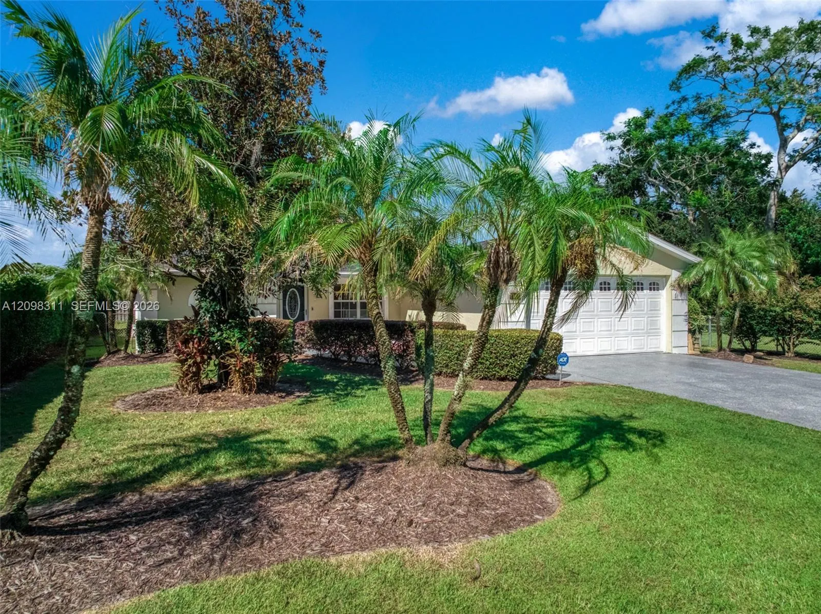 123 Swallow Avenue