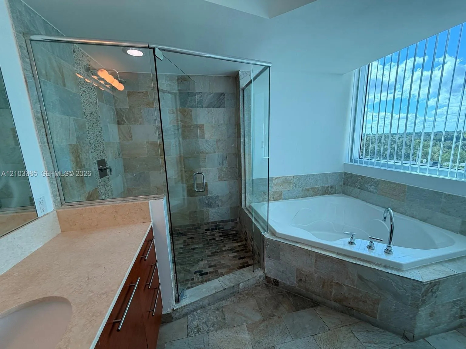 2641 N Flamingo Road #701N
