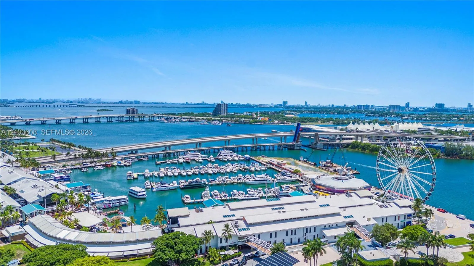 244 Biscayne Boulevard #4308