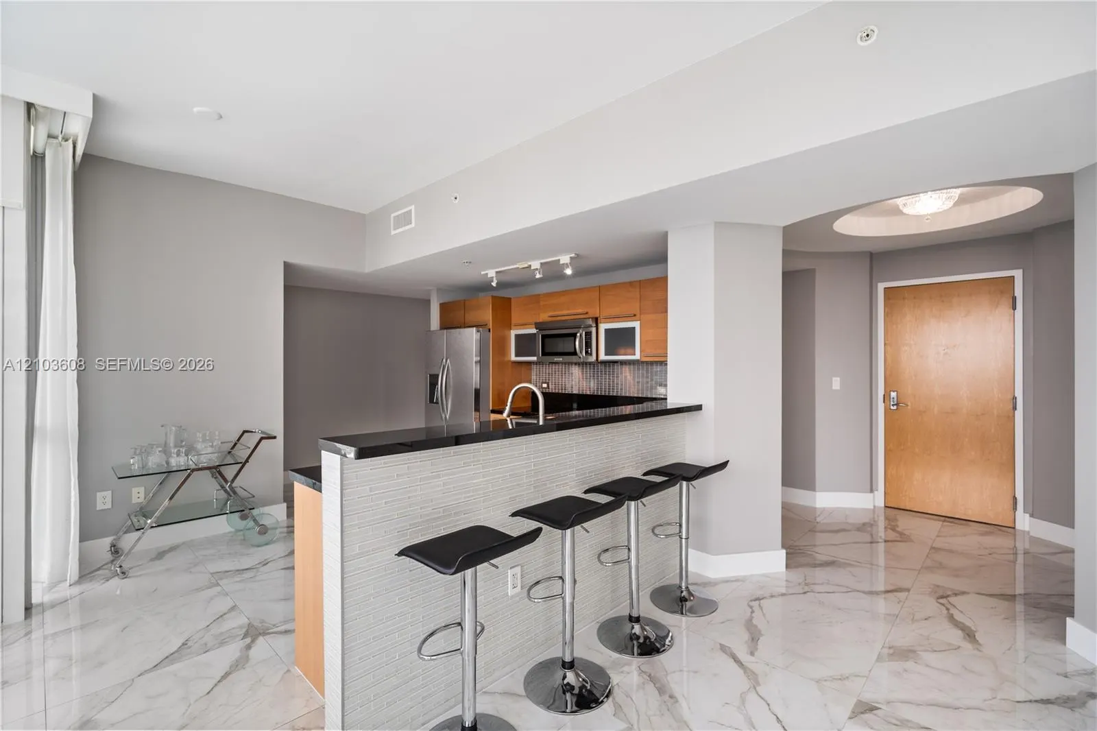 244 Biscayne Boulevard #4308