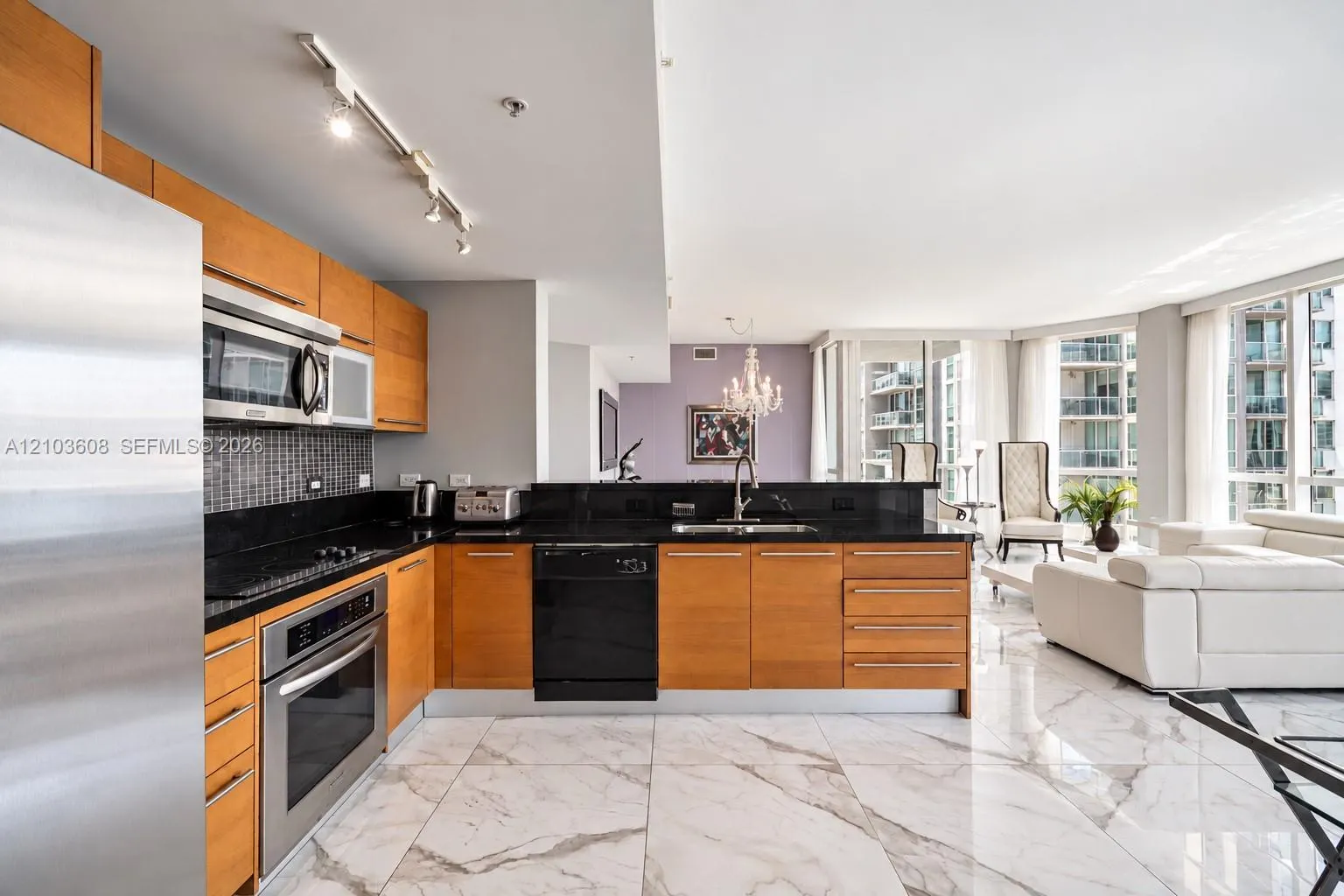 244 Biscayne Boulevard #4308