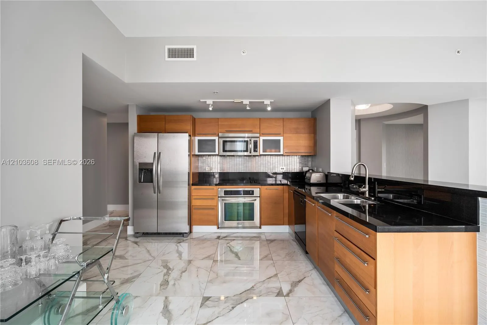 244 Biscayne Boulevard #4308