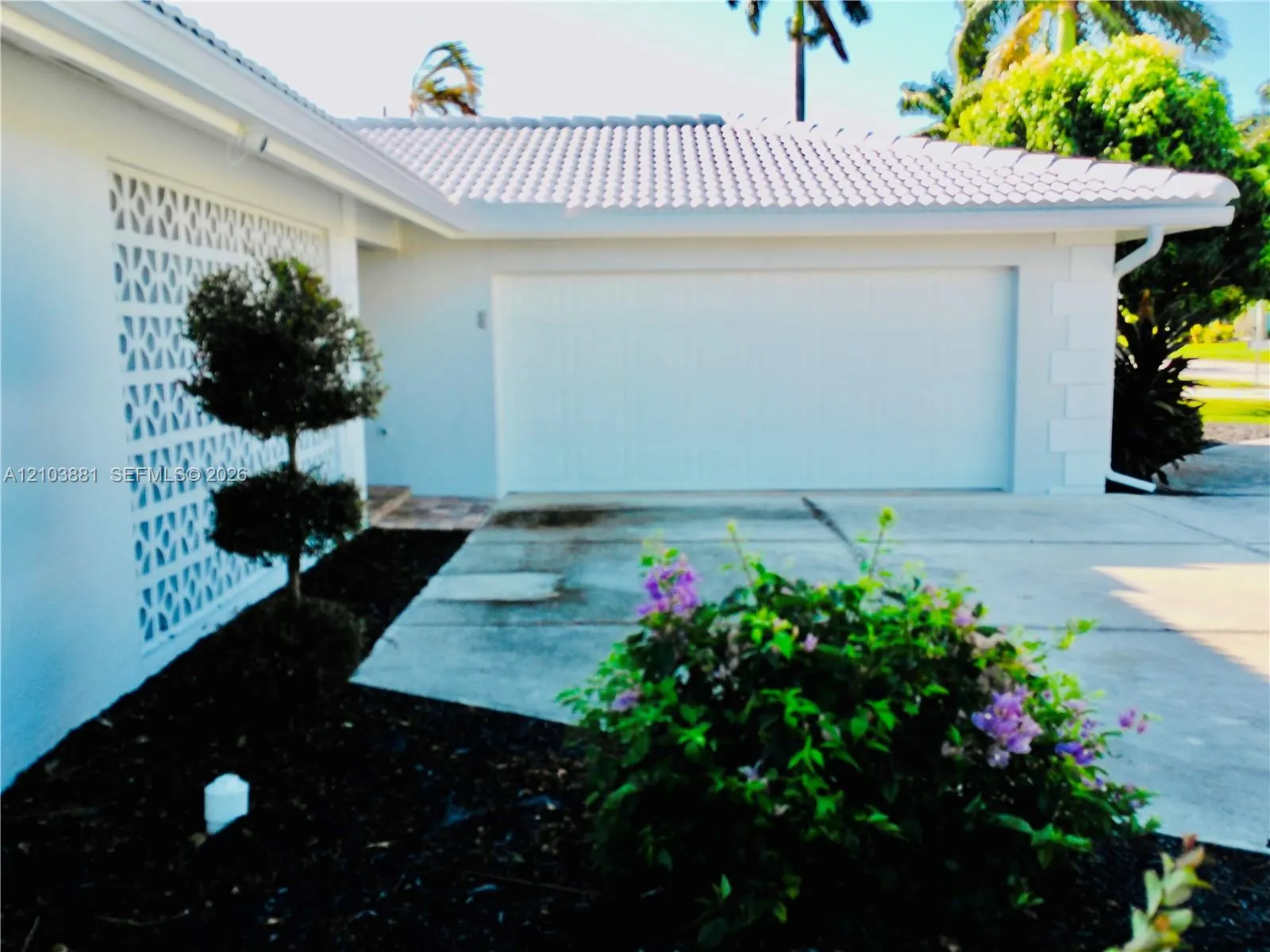 48 N Hibiscus Drive