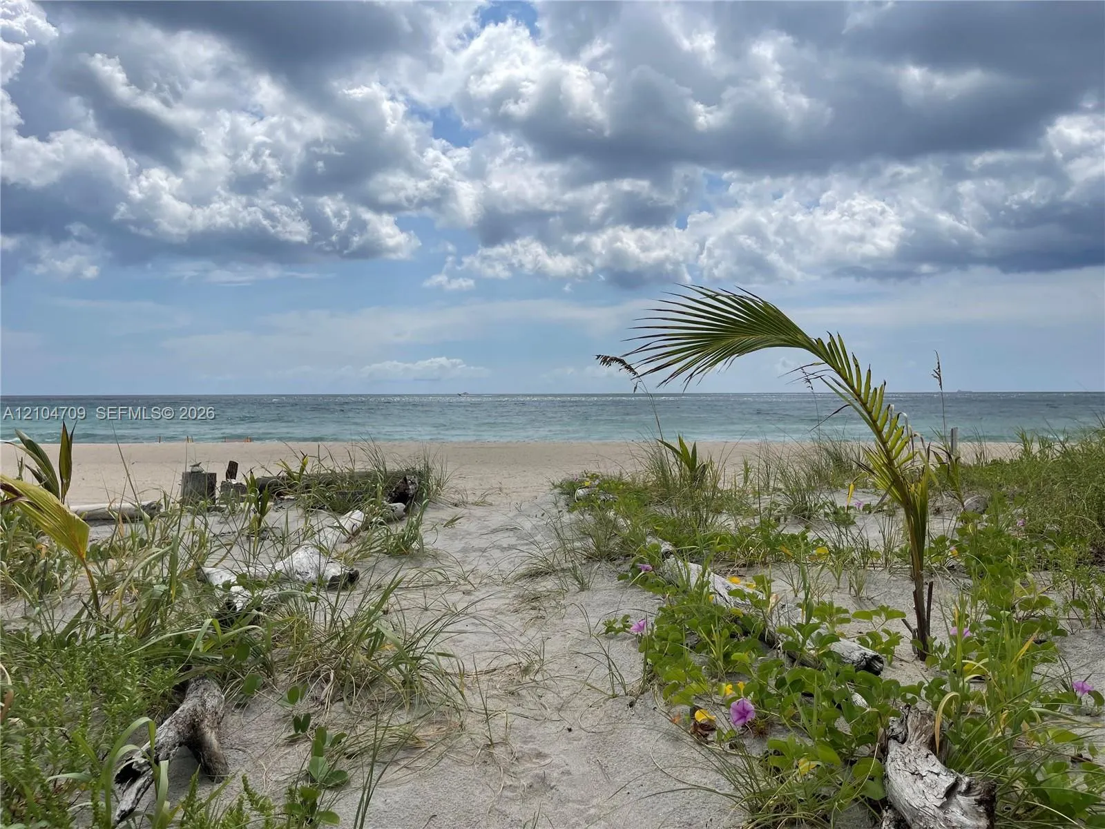 1507 S Ocean Boulevard ##4