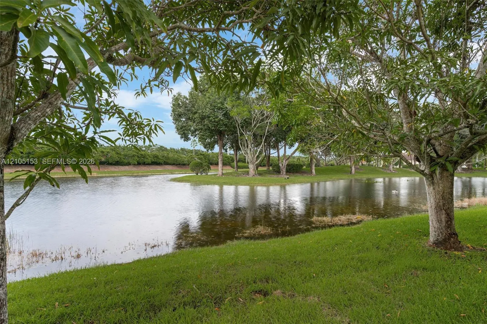 355 Coconut Circle