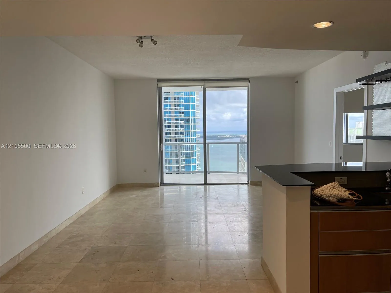 1060 Brickell Avenue #3905