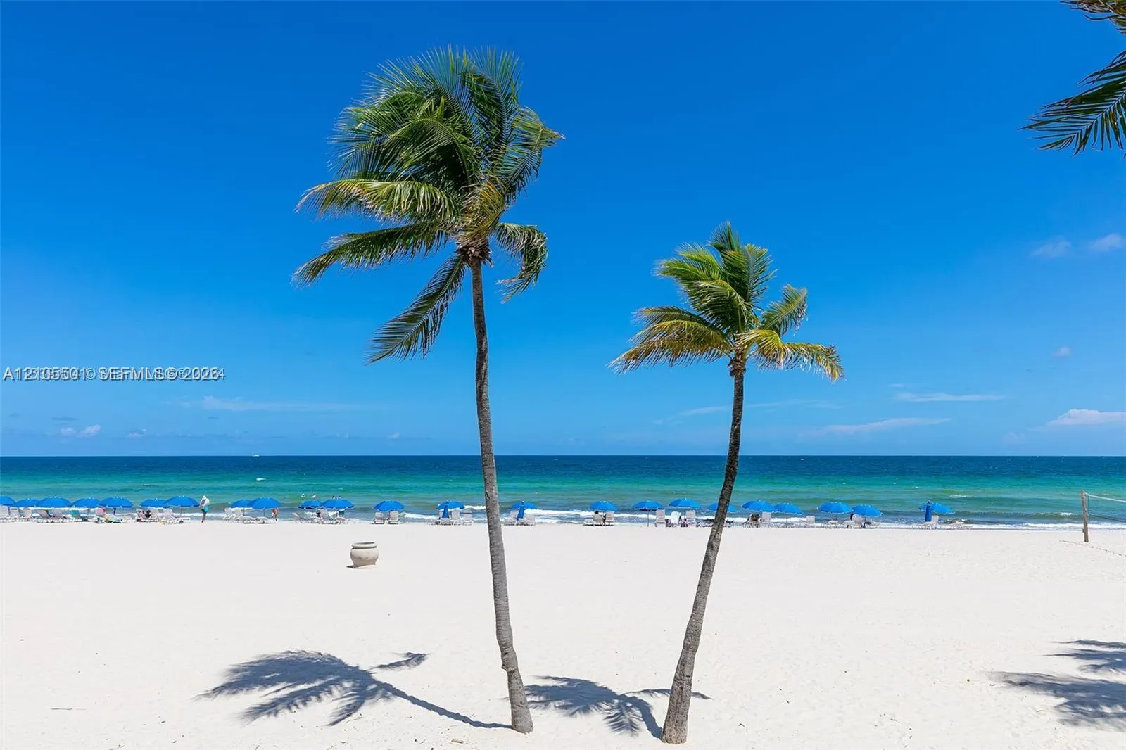 2101 S Ocean Drive #1902