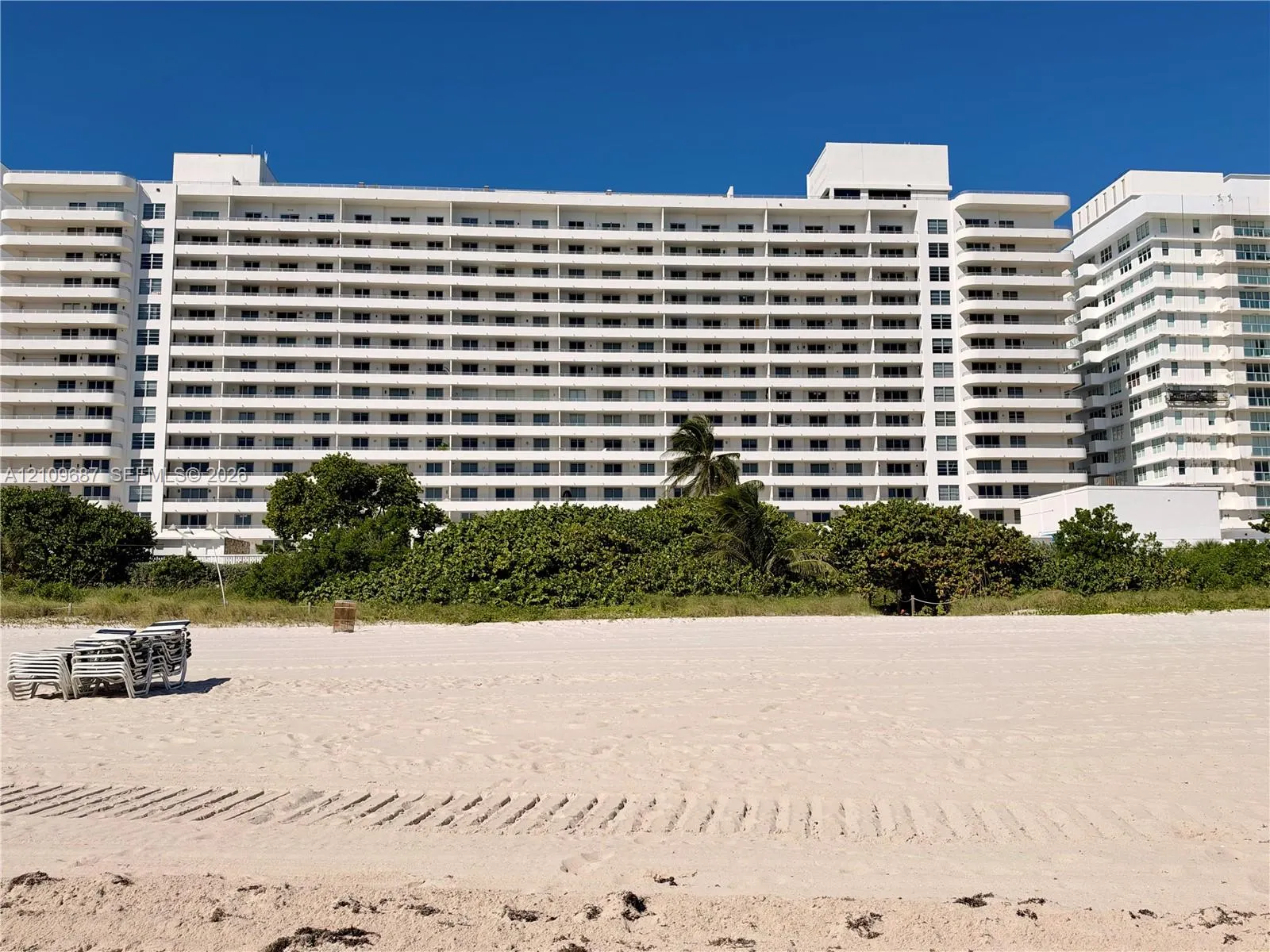 5555 Collins Avenue #5C