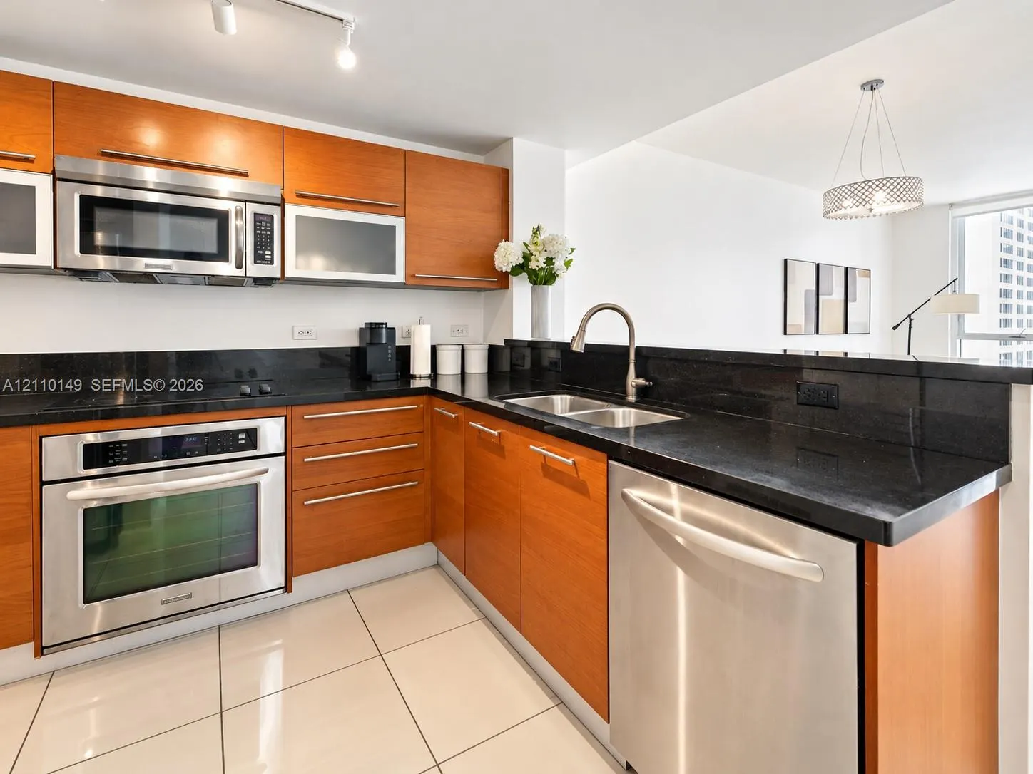 244 Biscayne Boulevard #2405