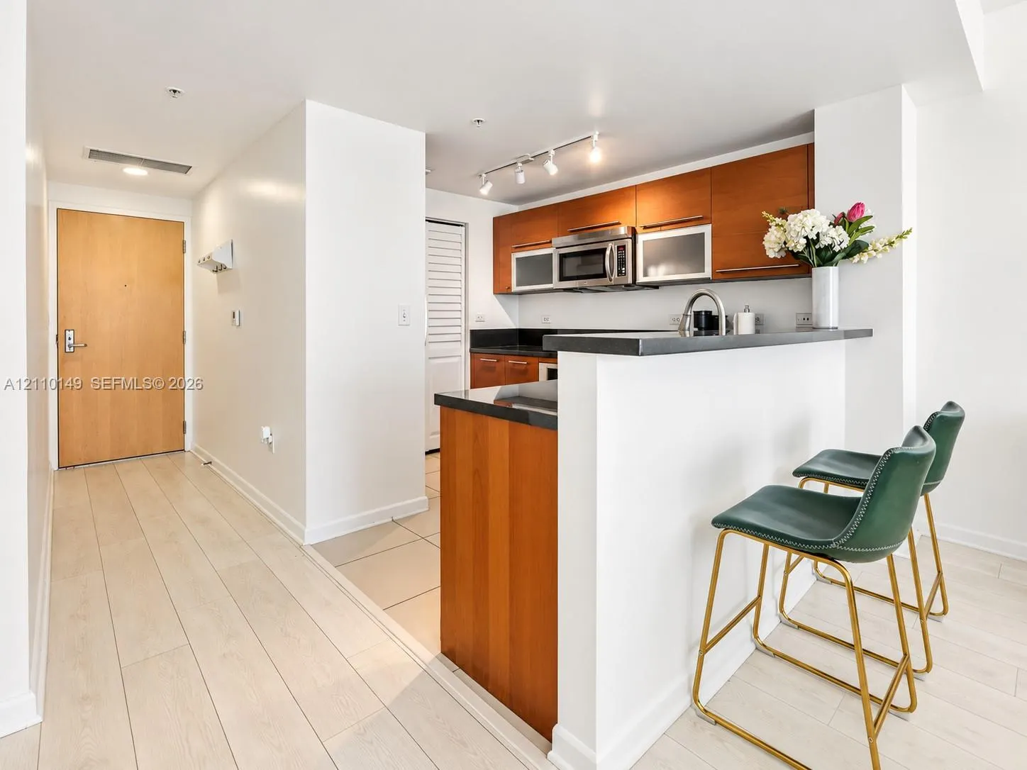 244 Biscayne Boulevard #2405