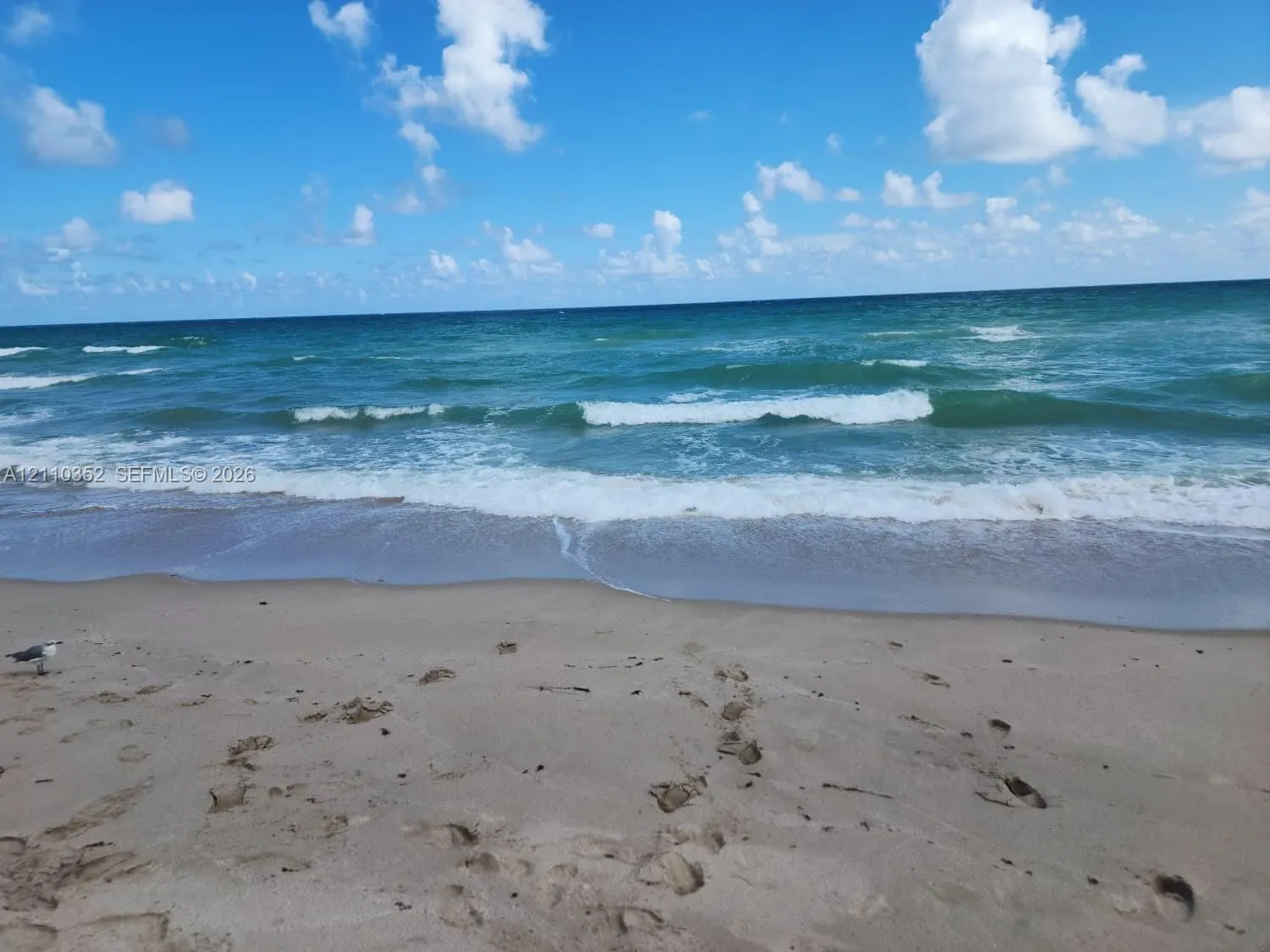 400 N Surf Road #902