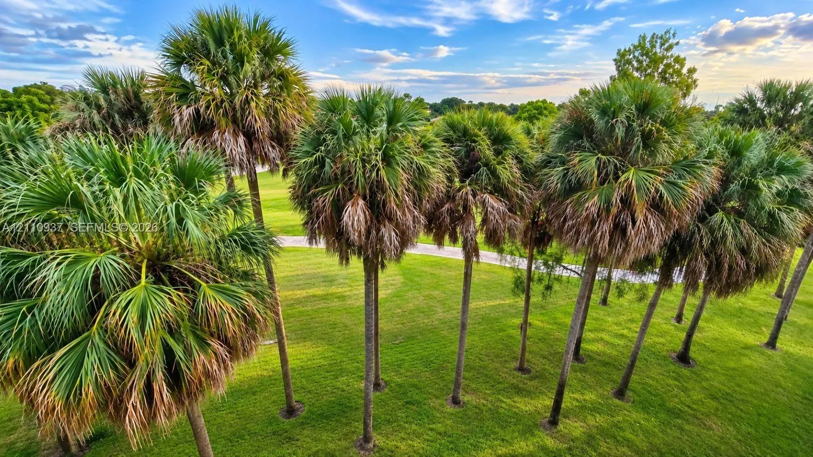 250 Jacaranda Drive #508