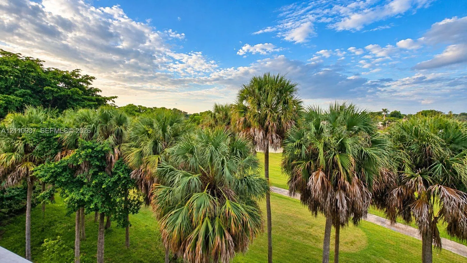 250 Jacaranda Drive #508