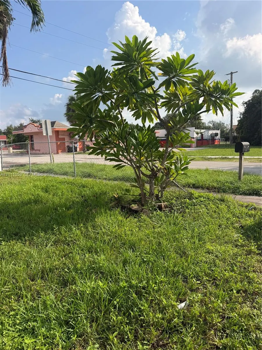 537 NW 16th Avenue