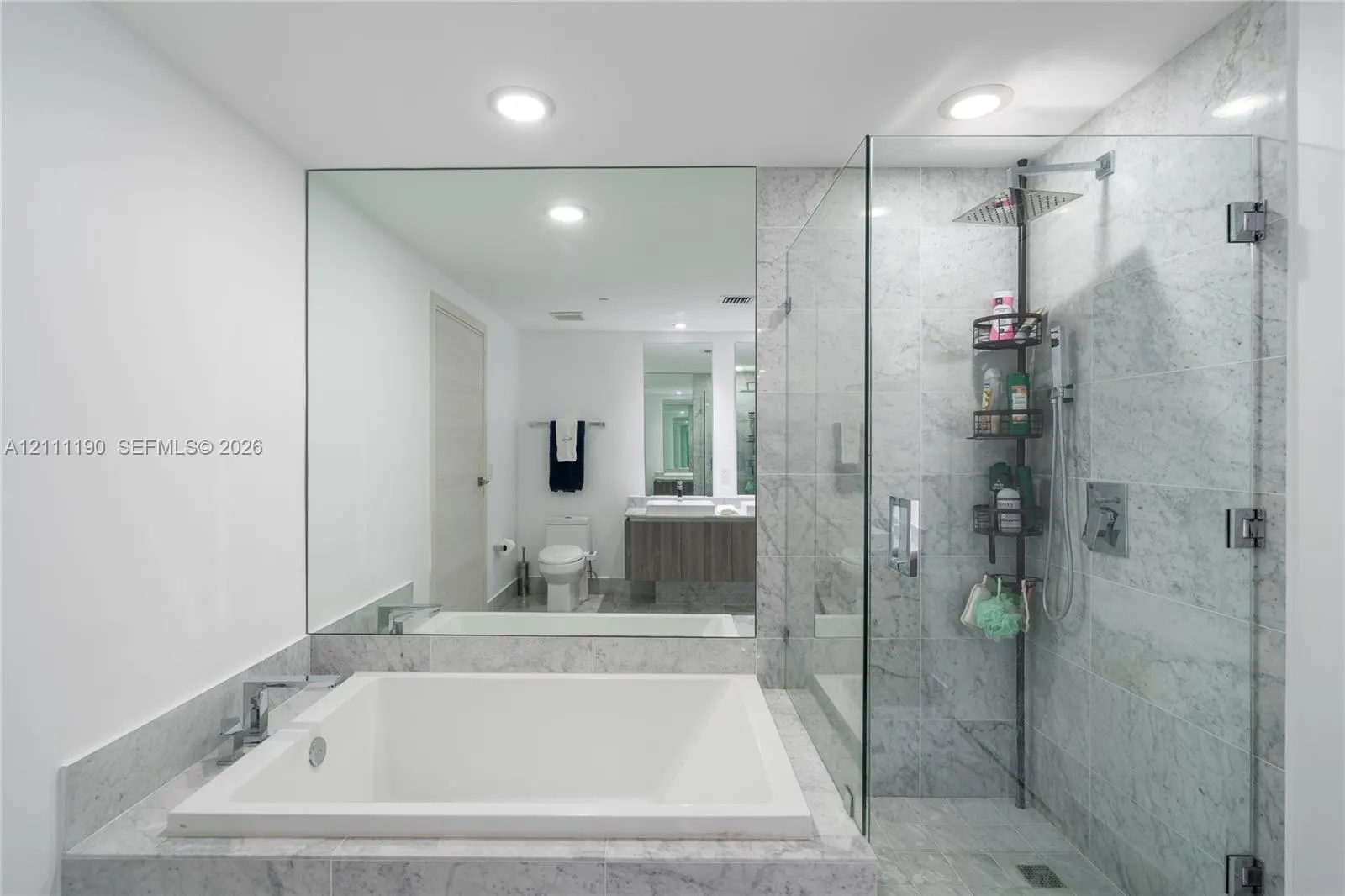 801 S Miami Avenue #1002