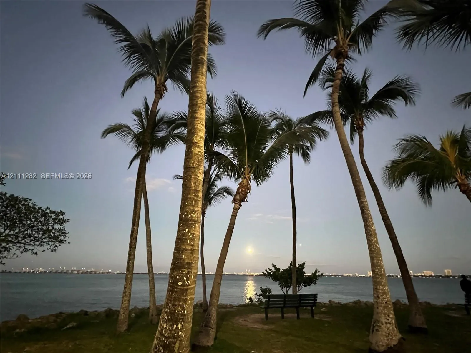 1717 N Bayshore Drive #A-1431