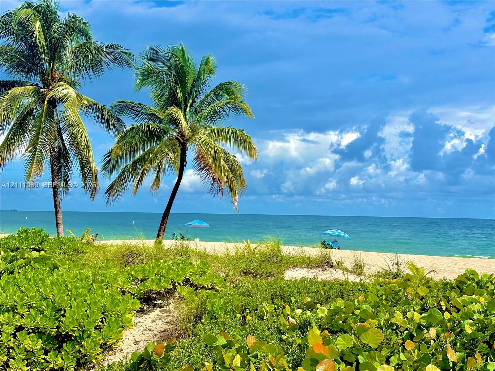 1151 N Fort Lauderdale Beach Boulevard #6D