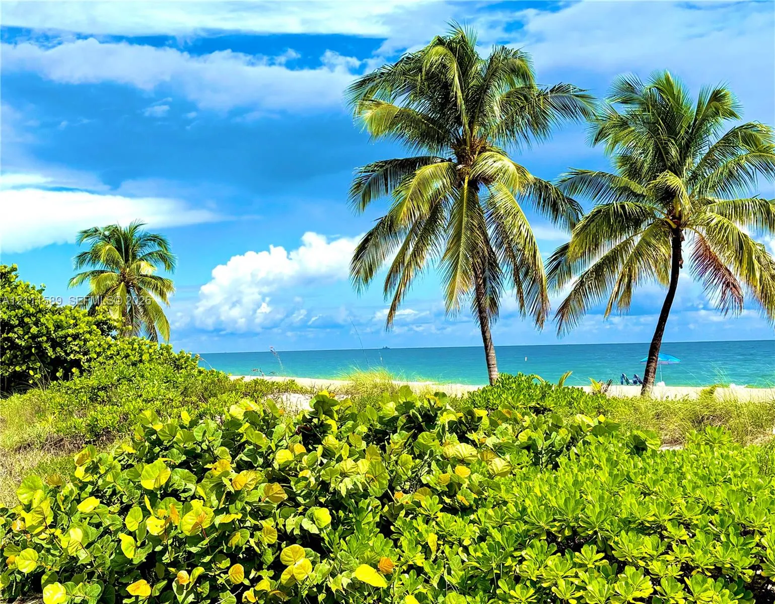 1151 N Fort Lauderdale Beach Boulevard #6D