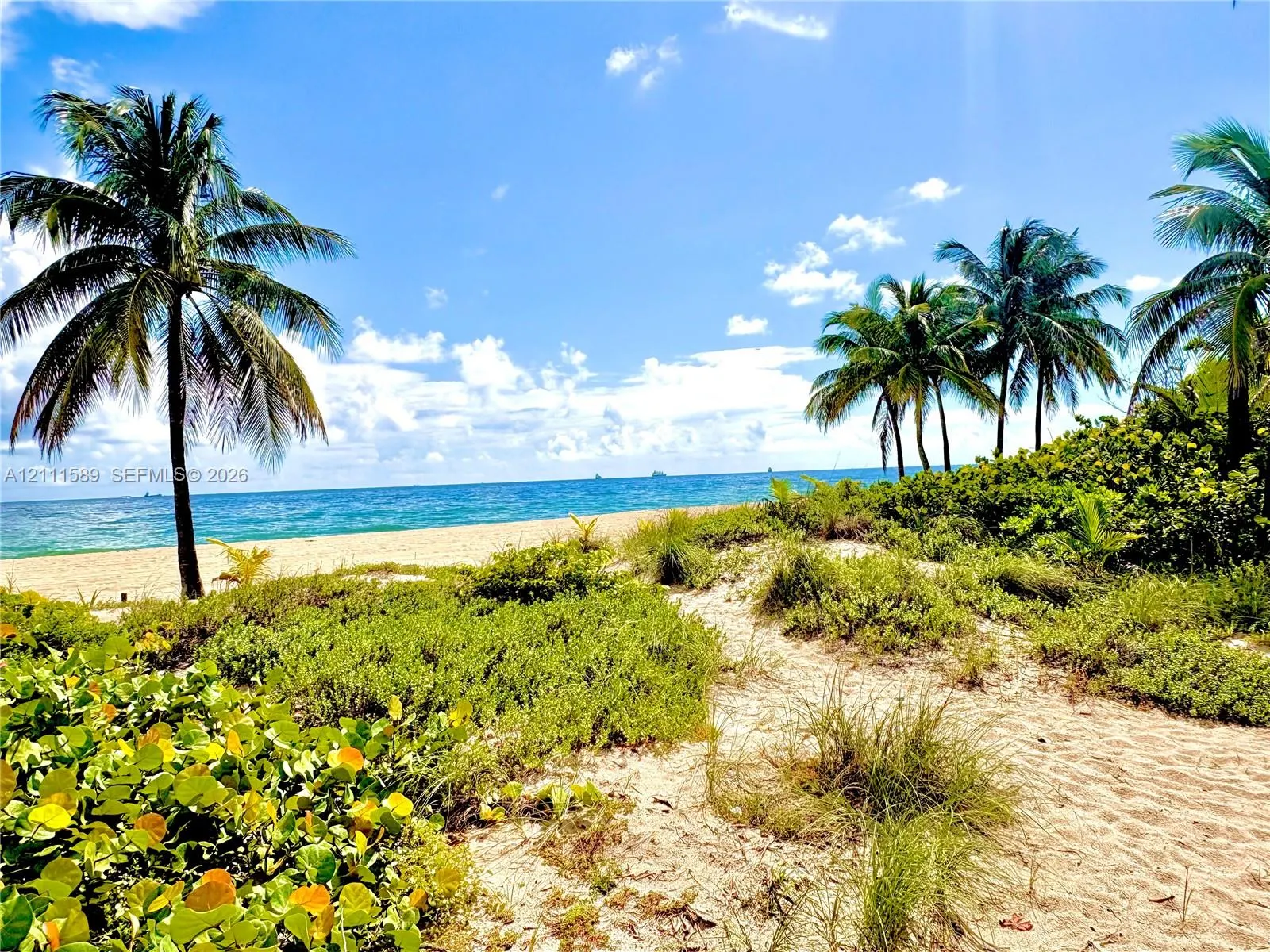 1151 N Fort Lauderdale Beach Boulevard #6D